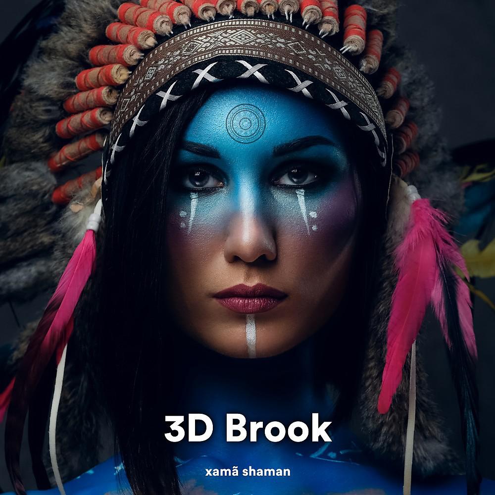 Постер альбома 3D Brook