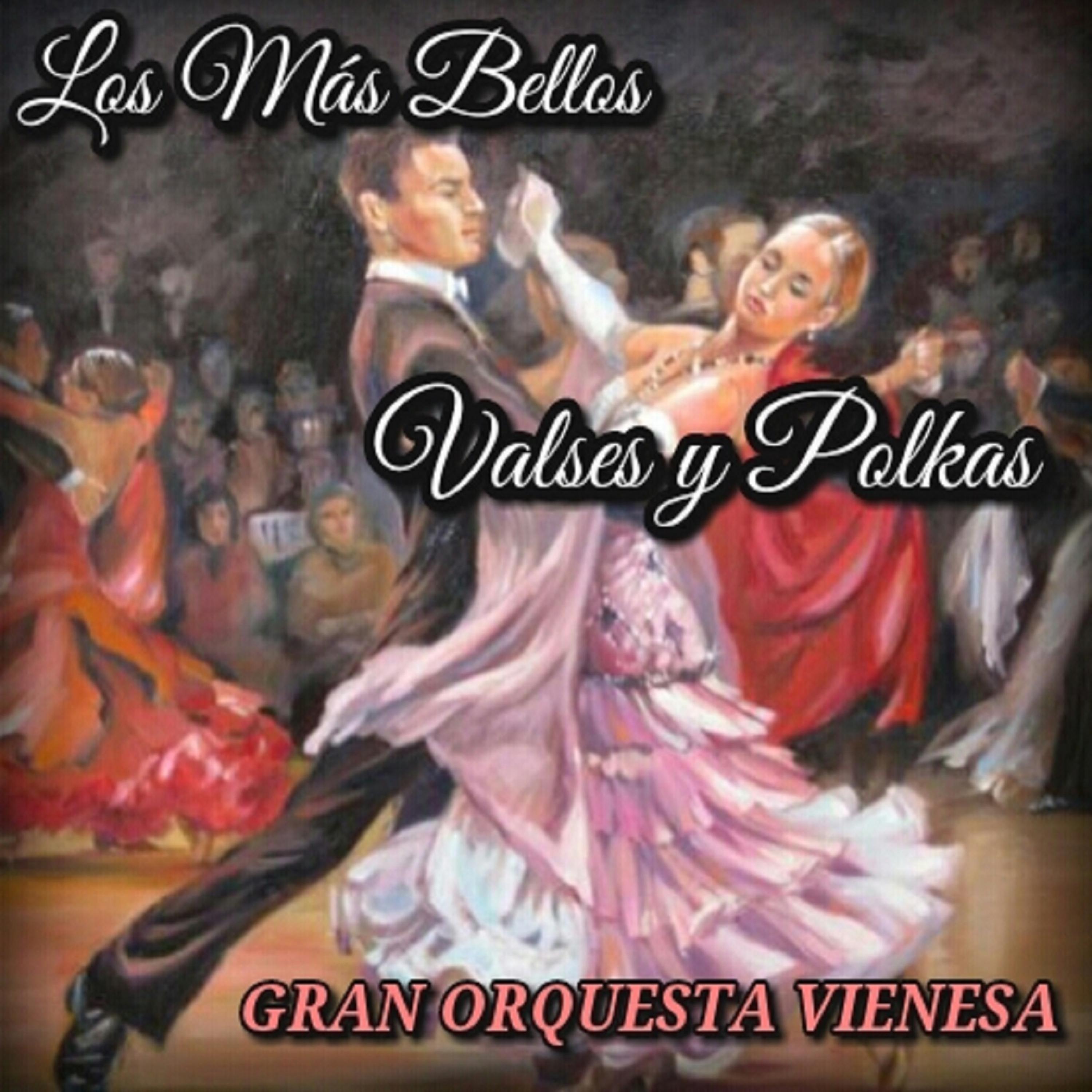 Постер альбома Los Más Bellos Valses y Polkas