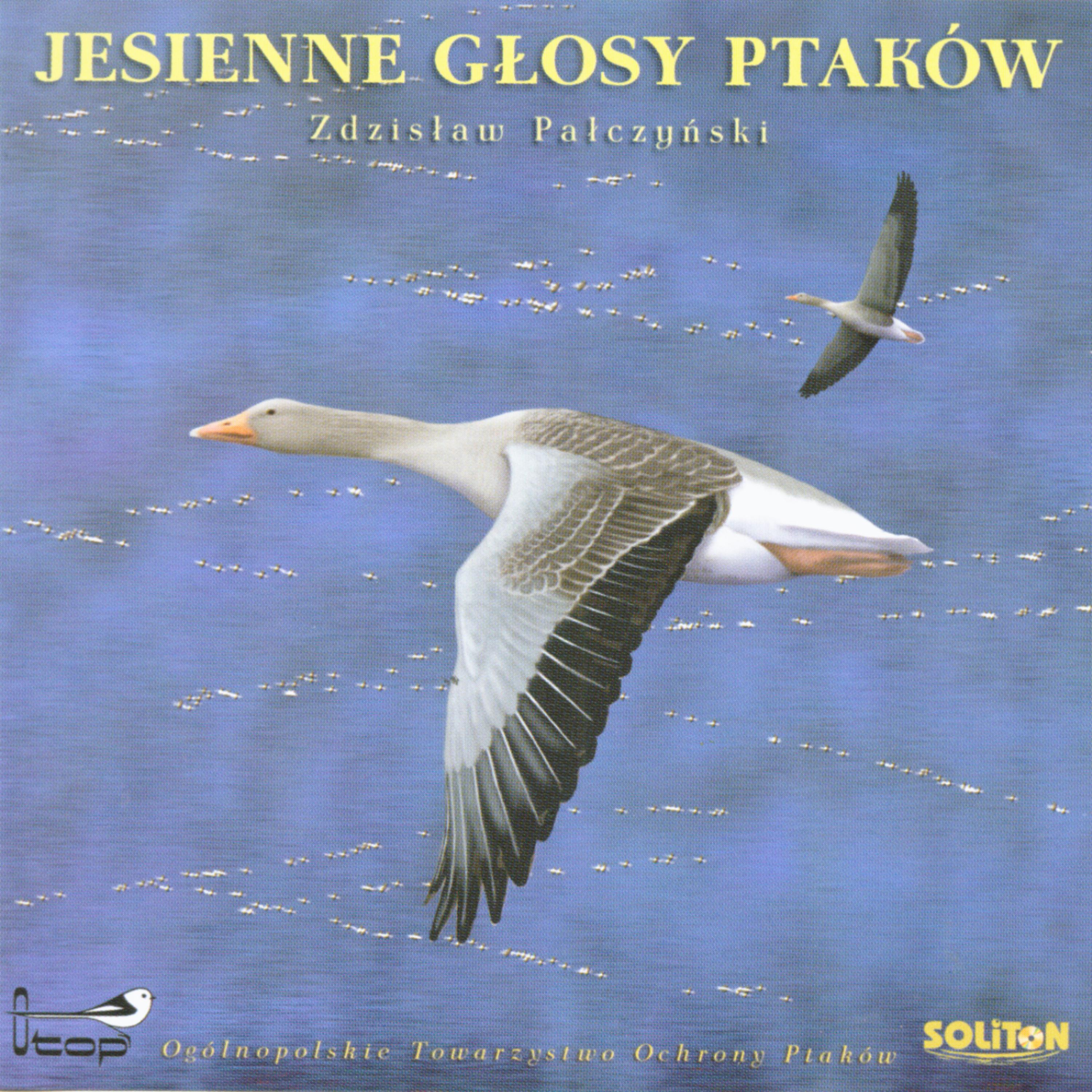 Постер альбома Autumn Bird Voices, Jesienne Glosy Ptakow