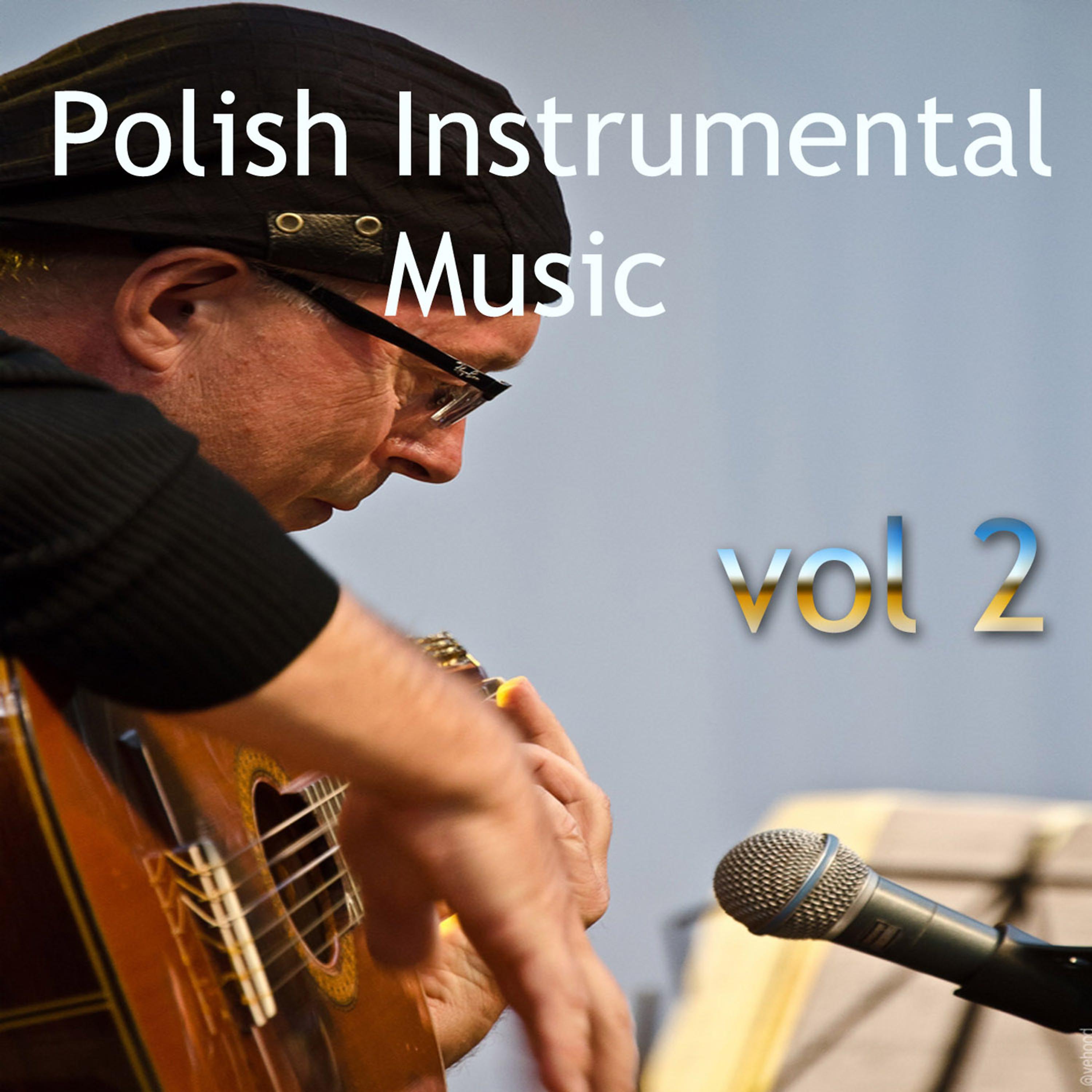 Постер альбома Polish Instrumental Music vol. 2