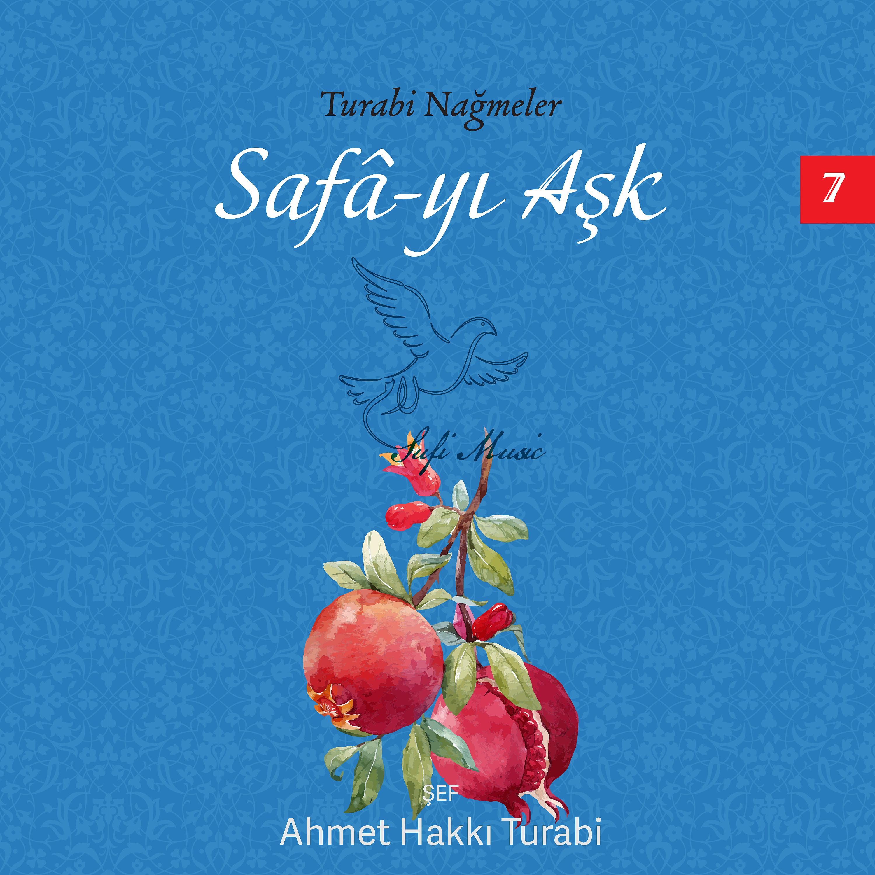 Постер альбома Turabi Nağmeler, Safa-yı Aşk, Vol. 7