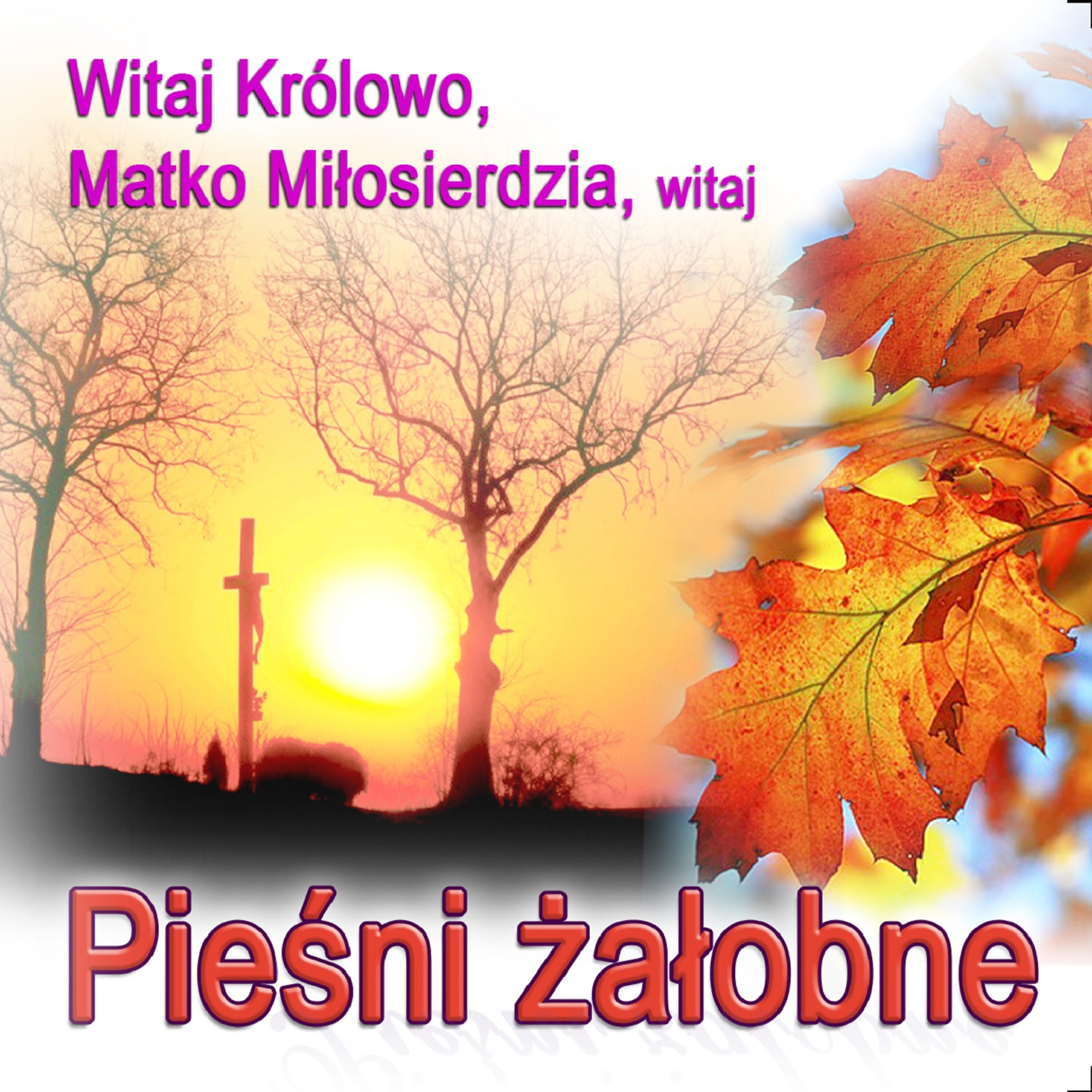 Ksiadz Robert Zwirek - Salve Regina
