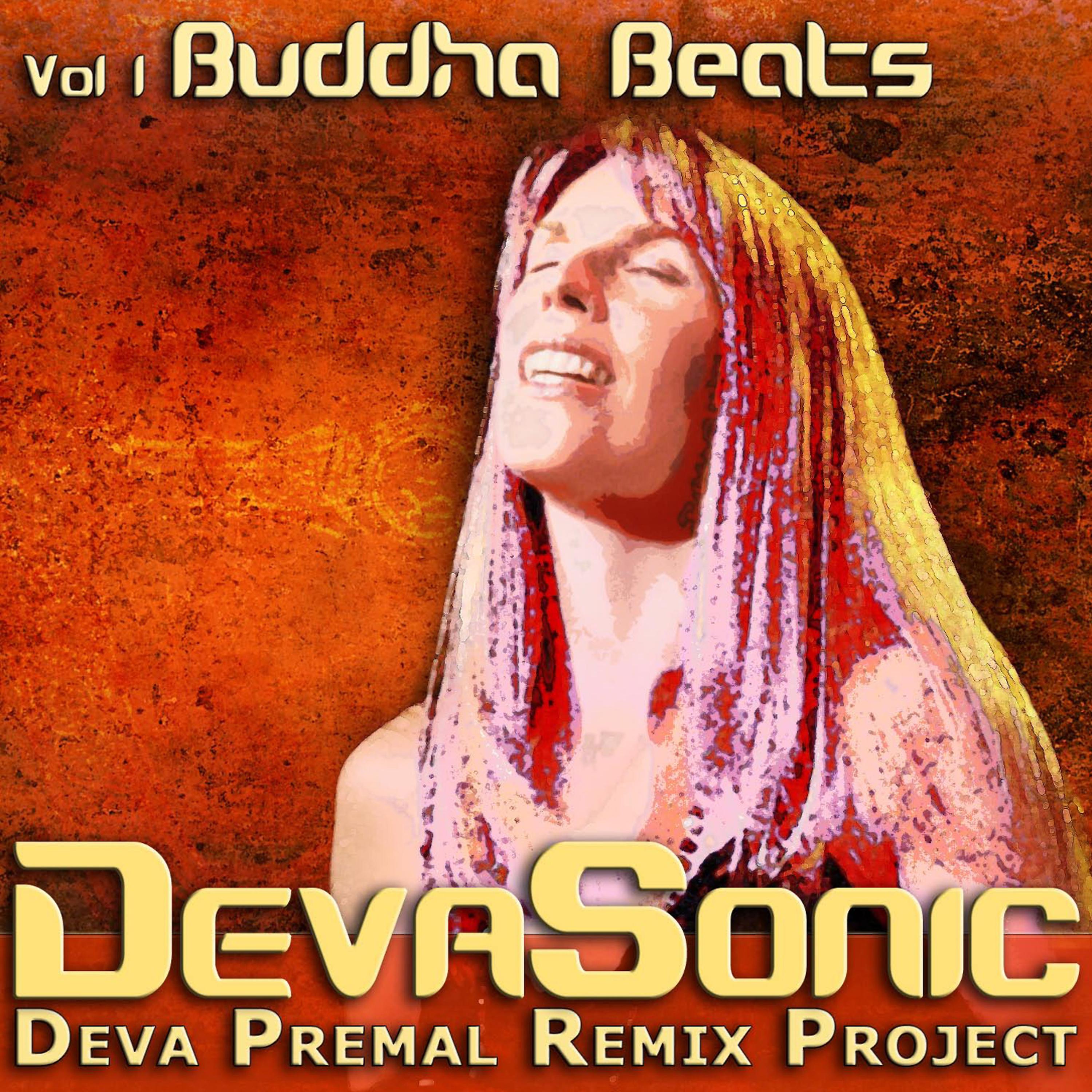 Постер альбома Devasonic, Vol. 1: Buddha Beats