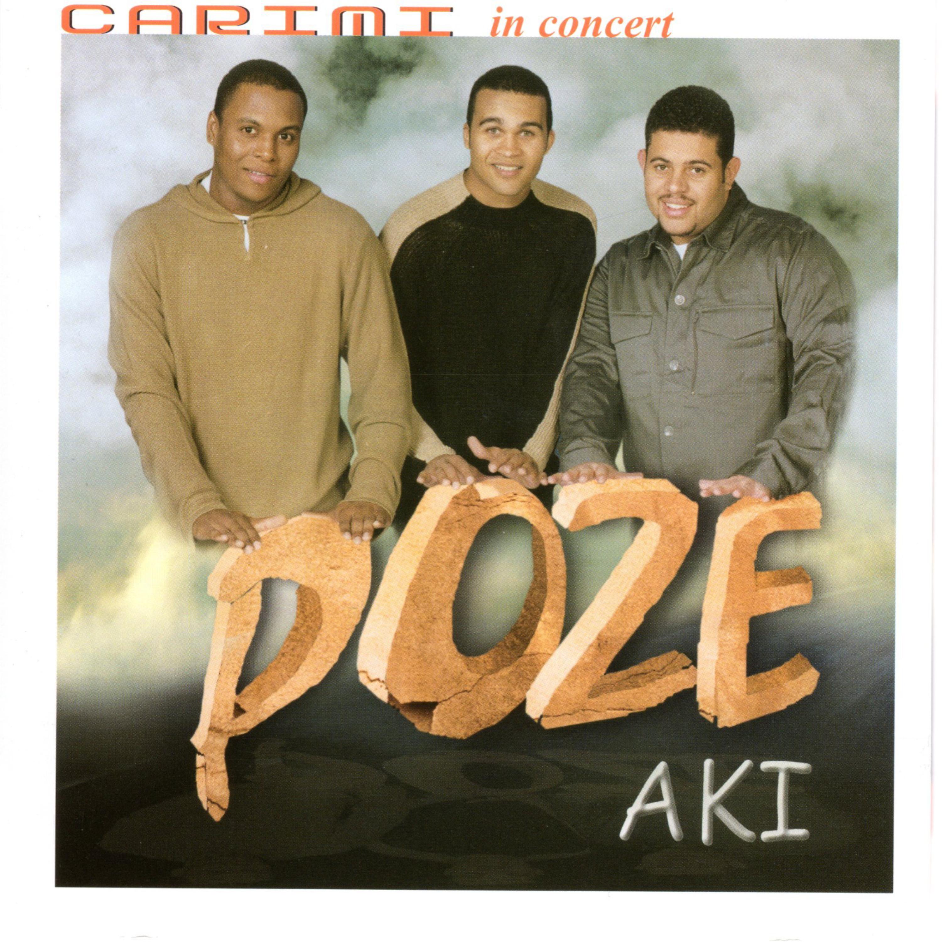 Постер альбома Poze Aki In Concert