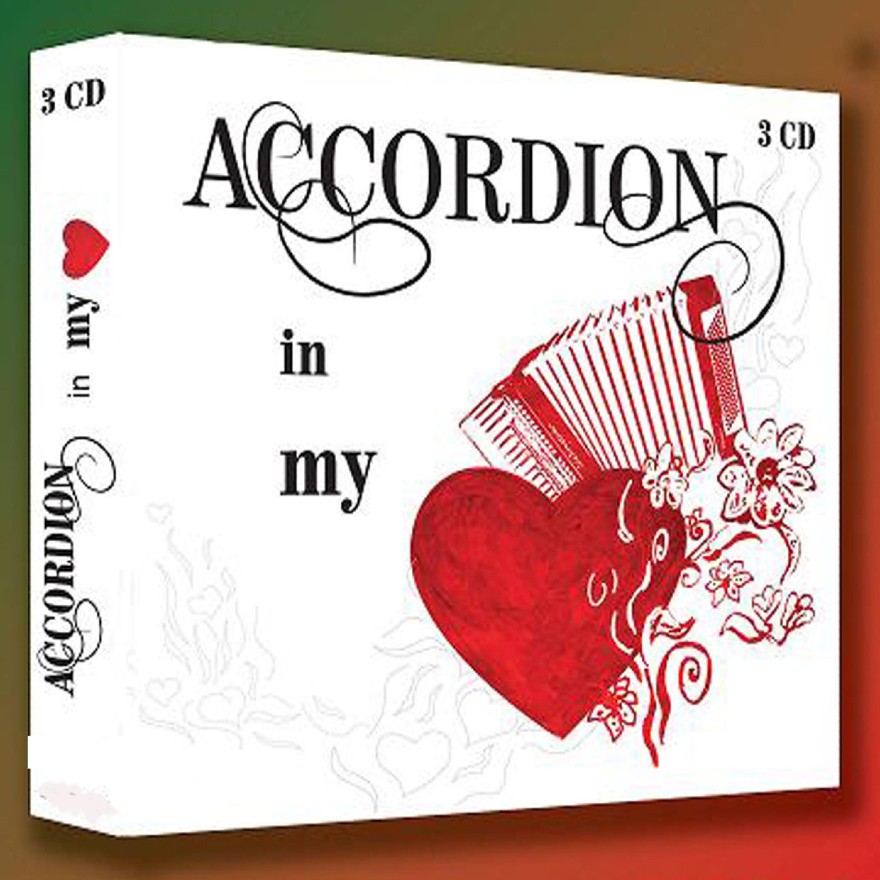 Постер альбома Accordion in My Heart