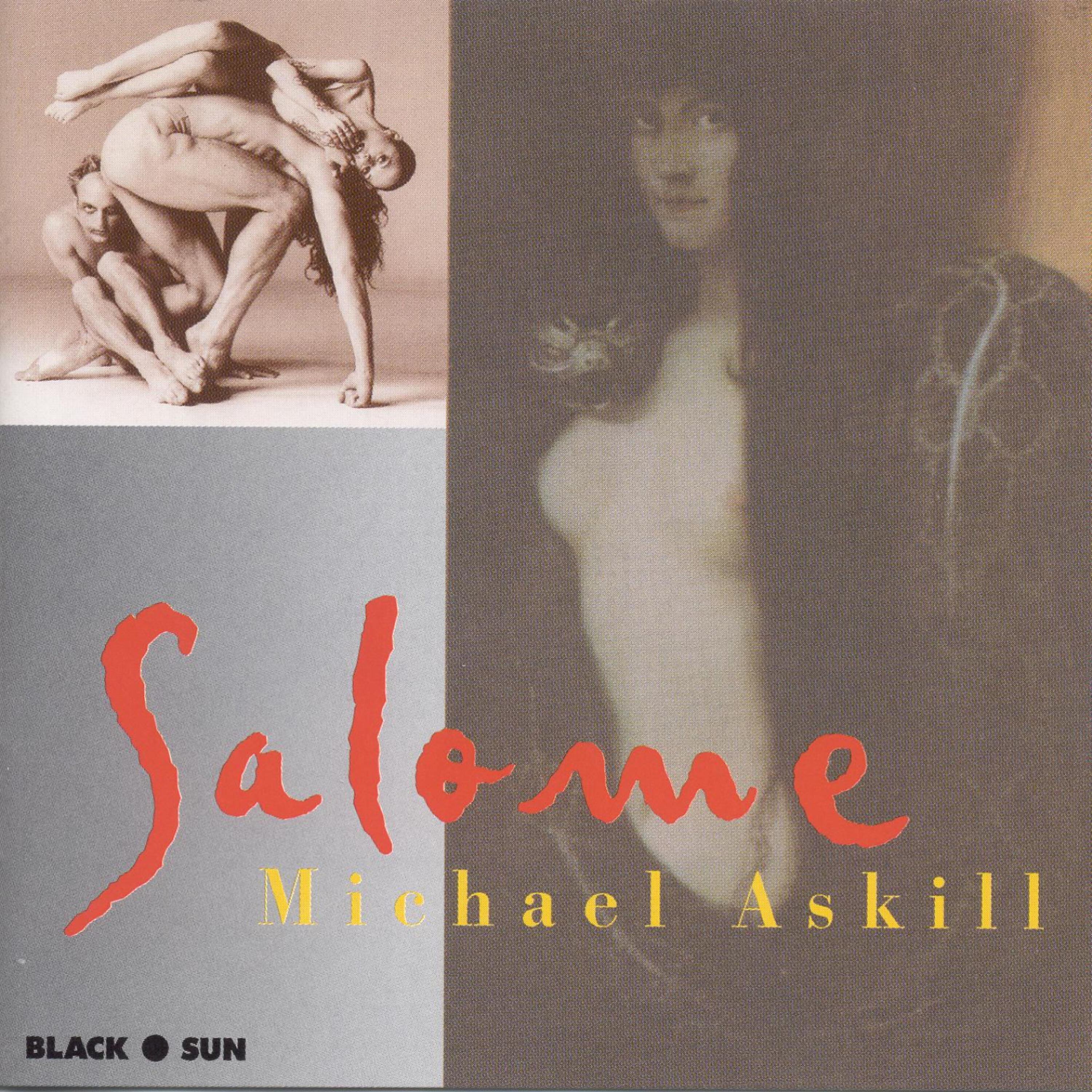 Michael Askill - The Soldier Kills the Page