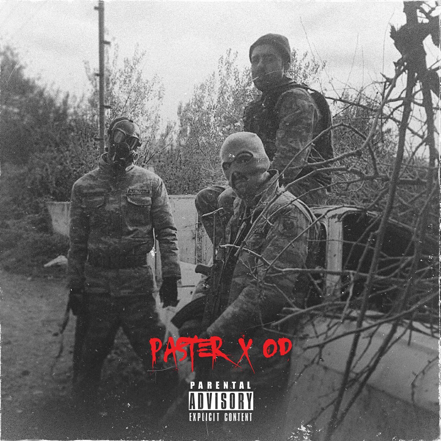 Paster - Yashma
