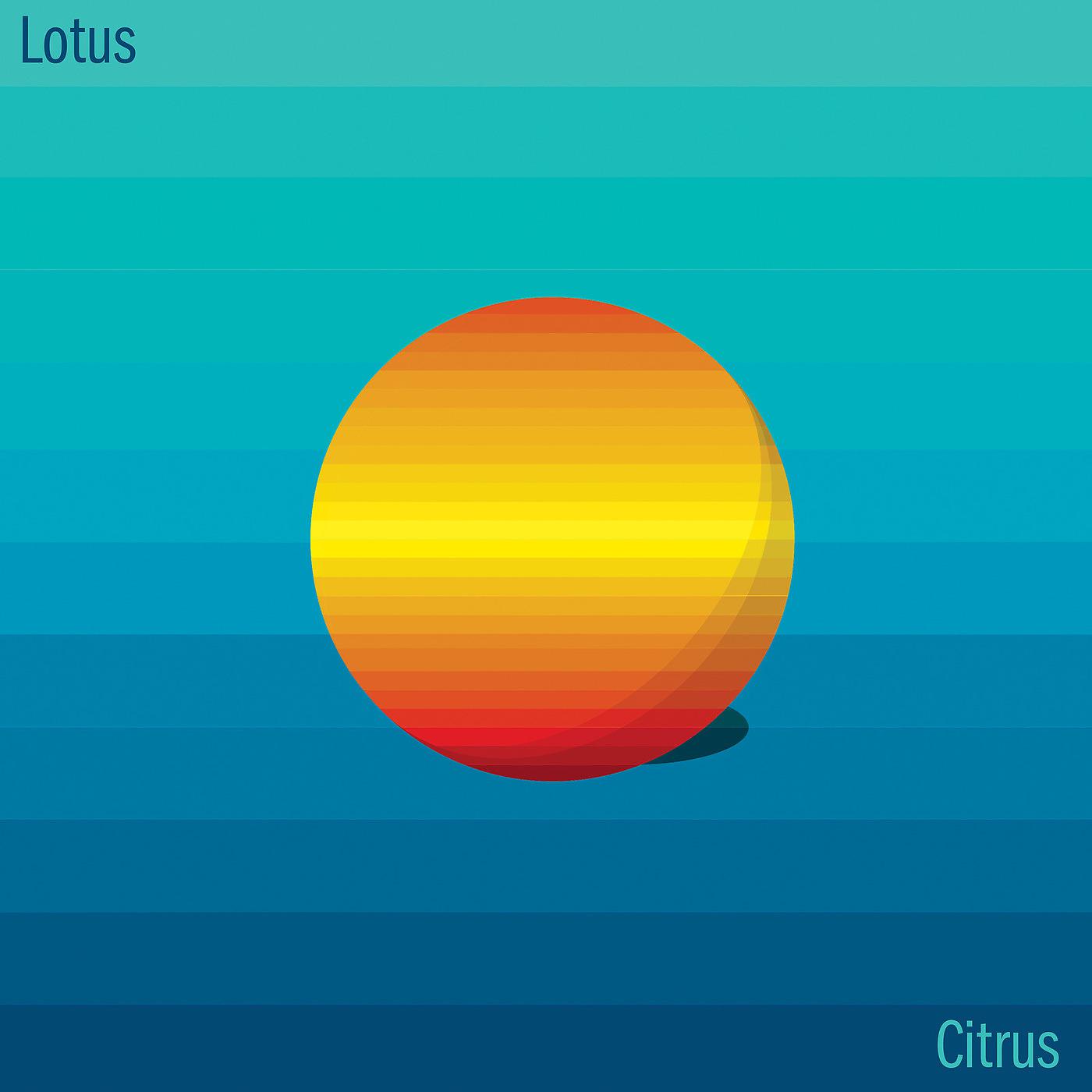 Постер альбома Citrus