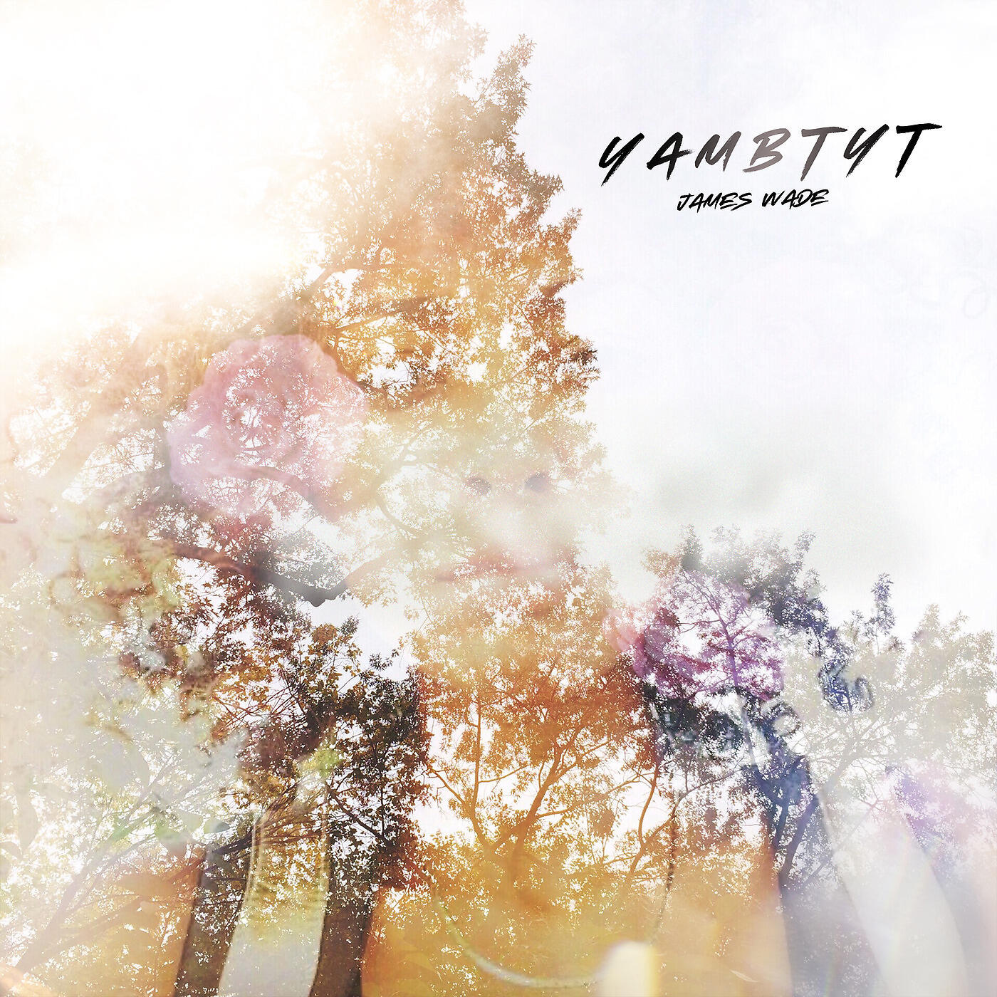 James Wade - Yambtyt (You Are More Beautiful Than You Think)