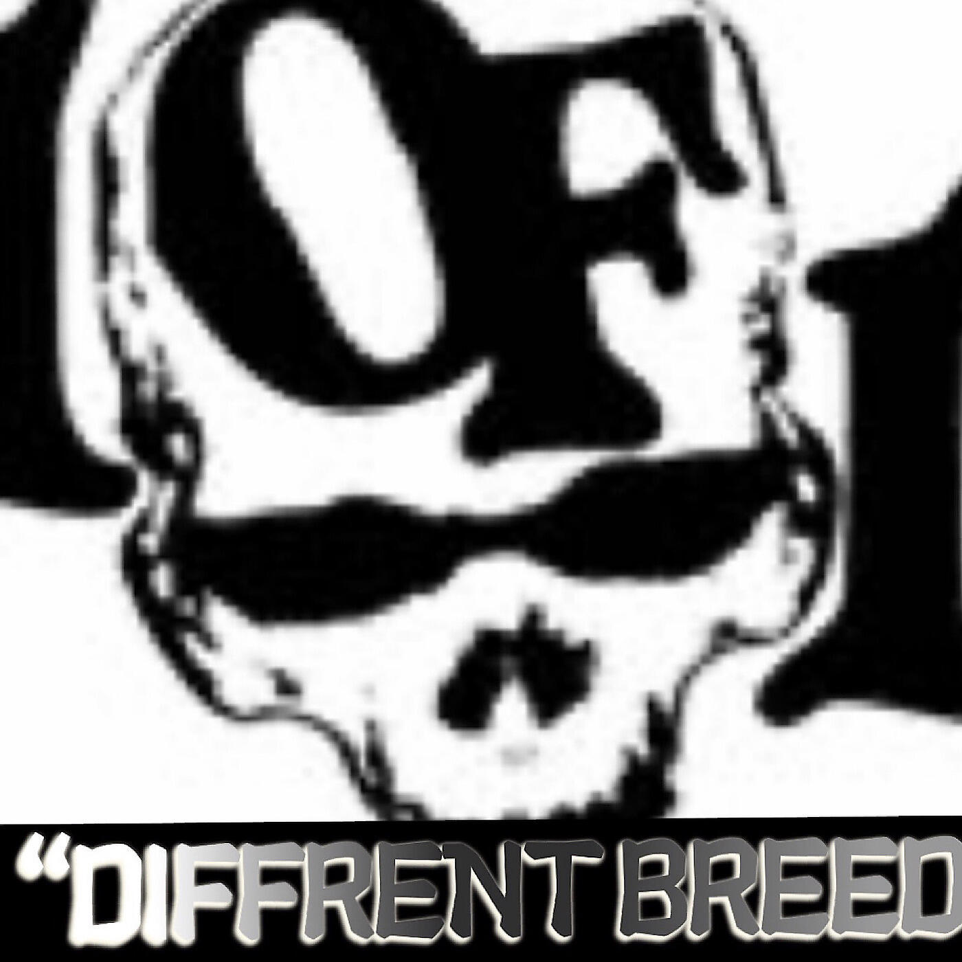 R2R jaccboii - Diffrent Breed