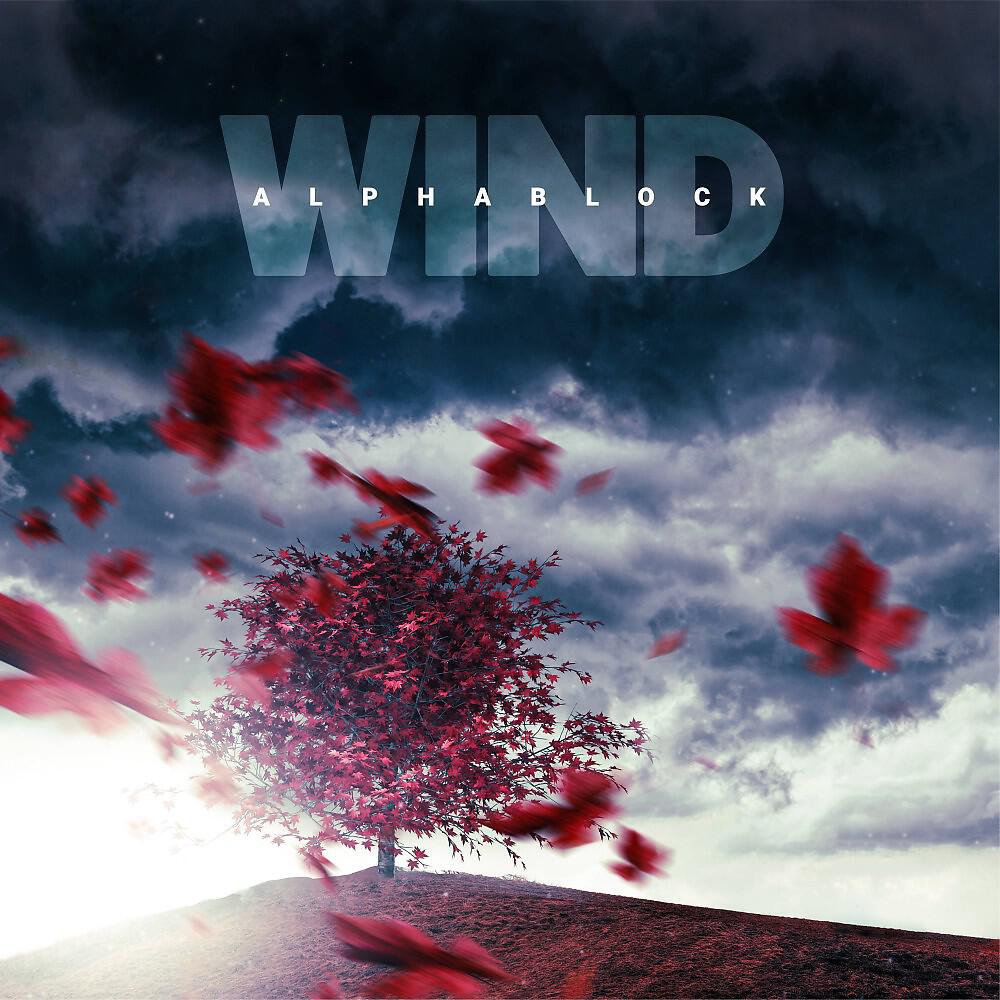 Постер альбома Wind