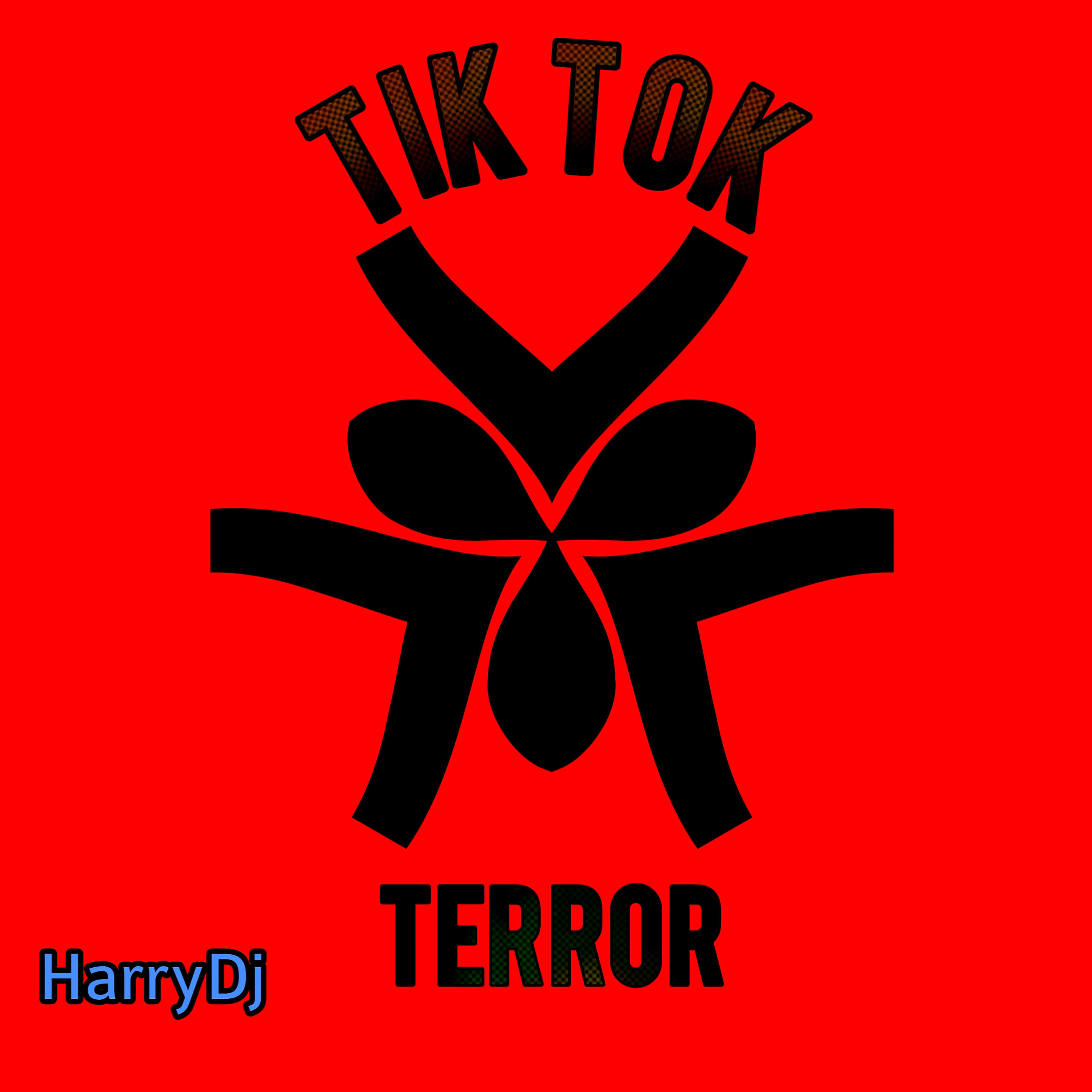 HarryDj - Tiktok Terror
