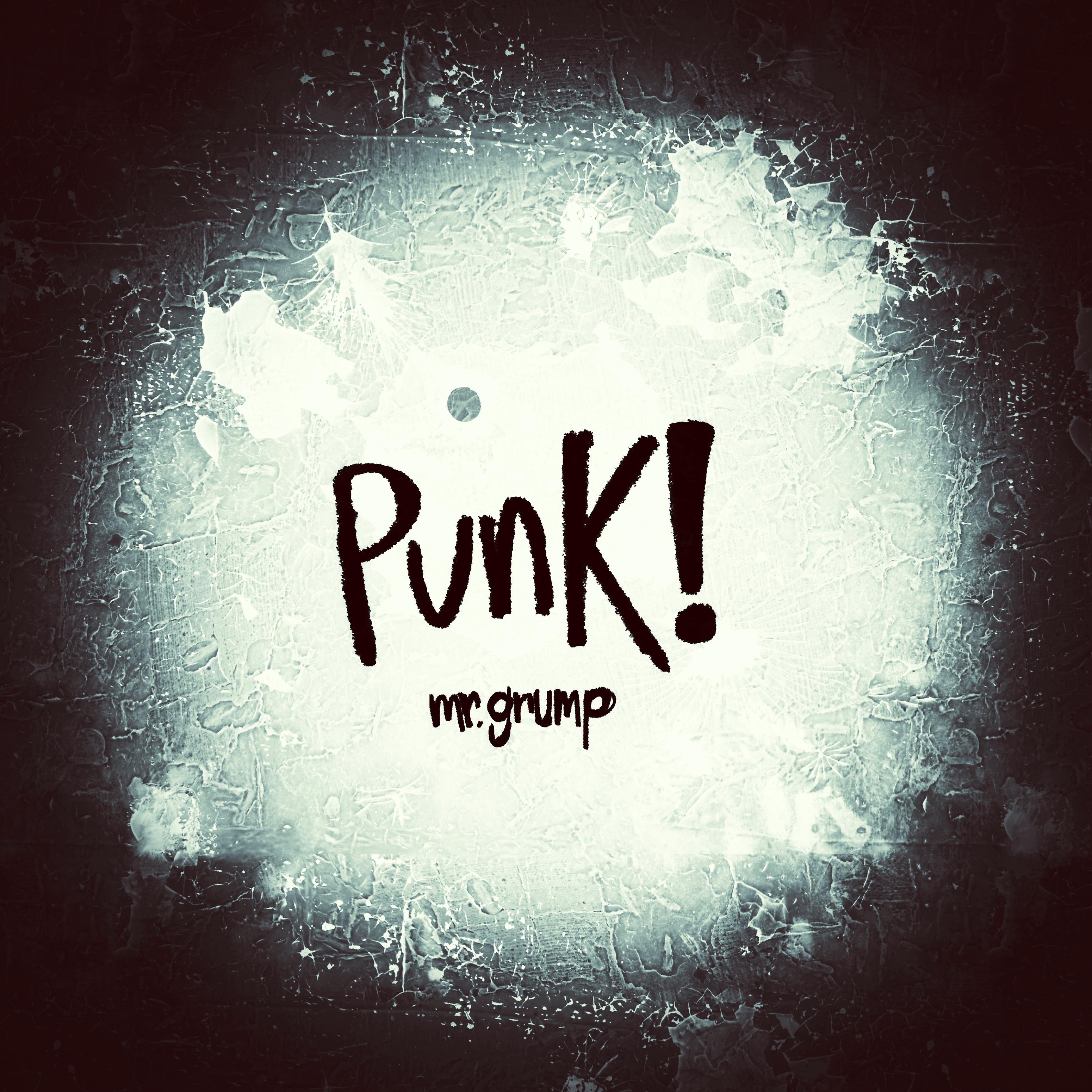 Постер альбома Punk!