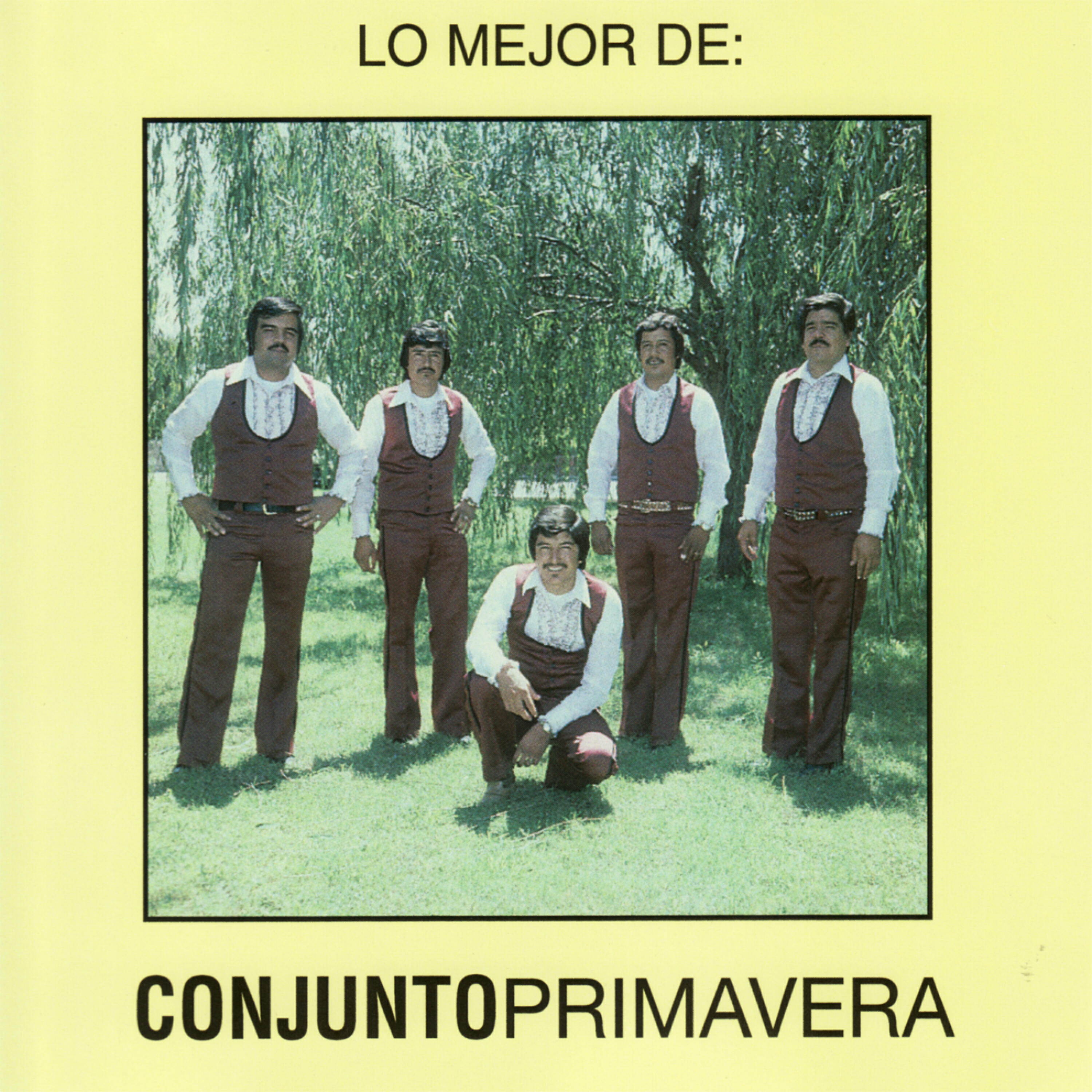 Conjunto Primavera - Los Cinco De Una Brigada