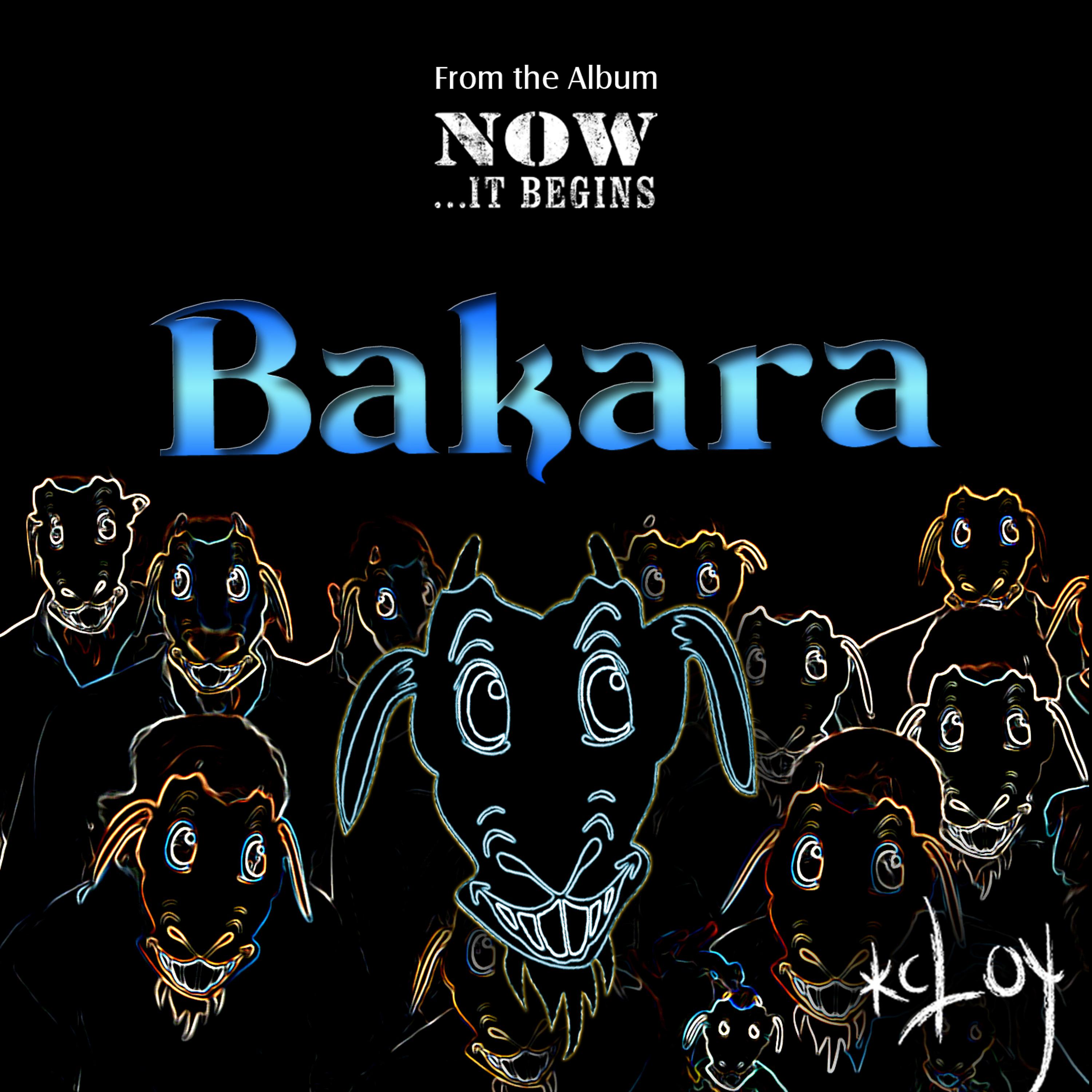 Постер альбома Bakara - Single