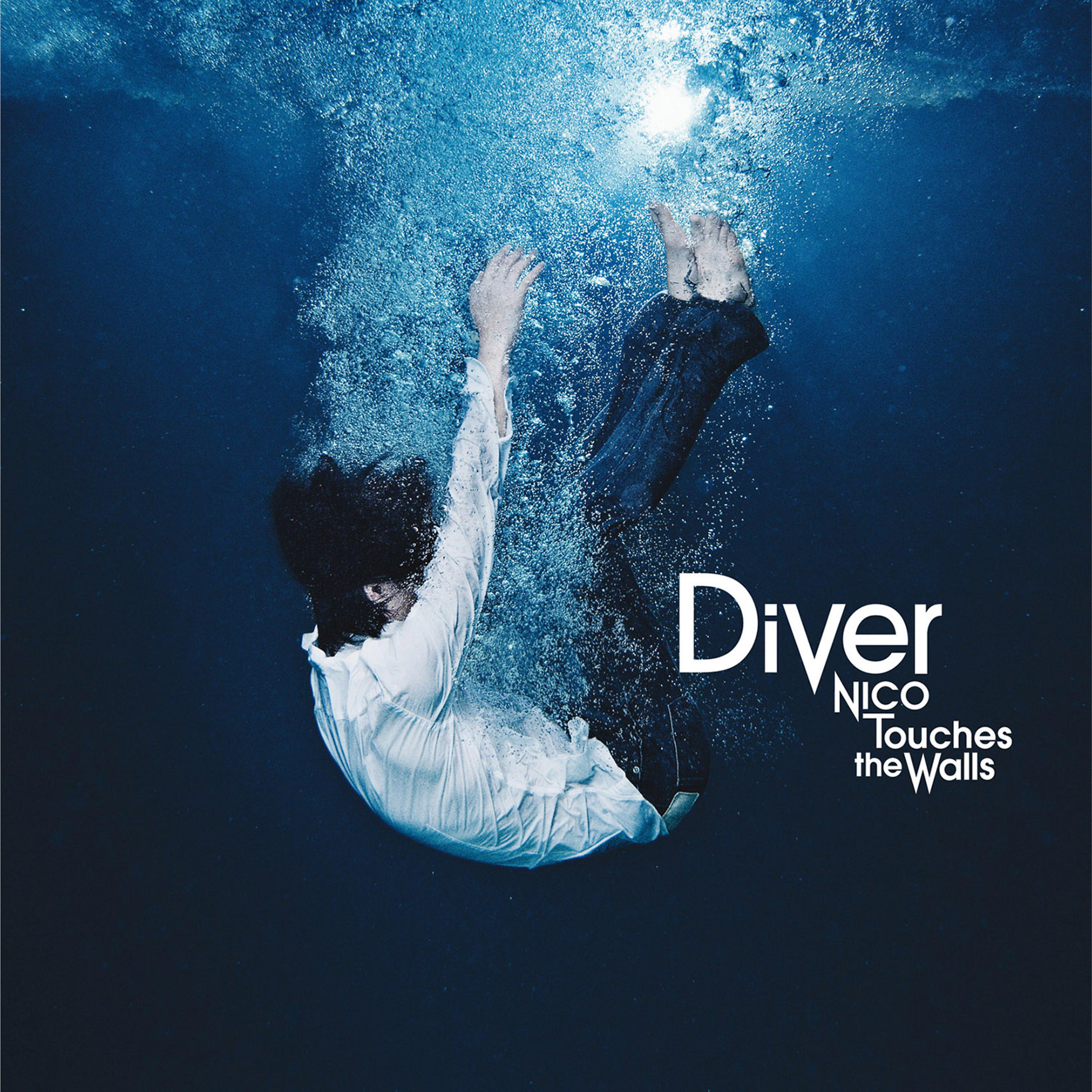 Постер альбома Diver - Single