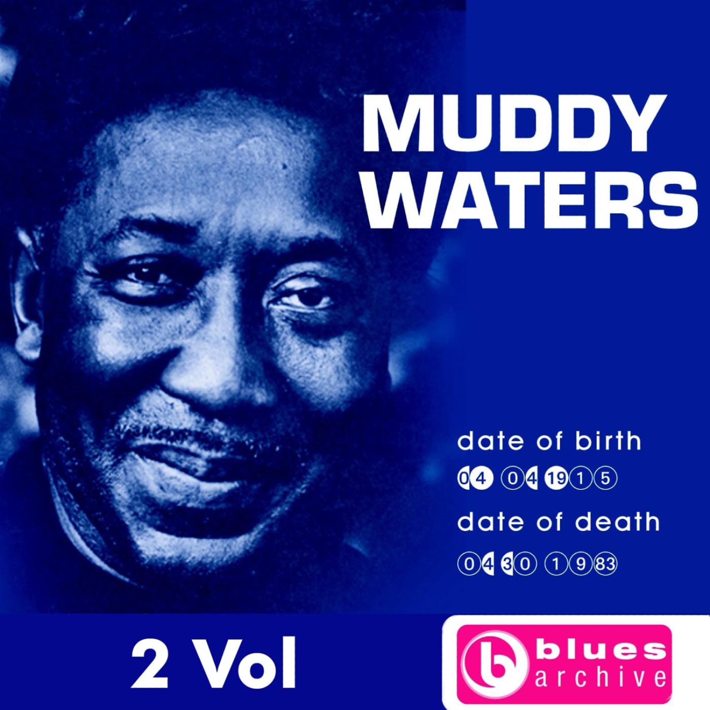 Постер альбома Muddy Waters