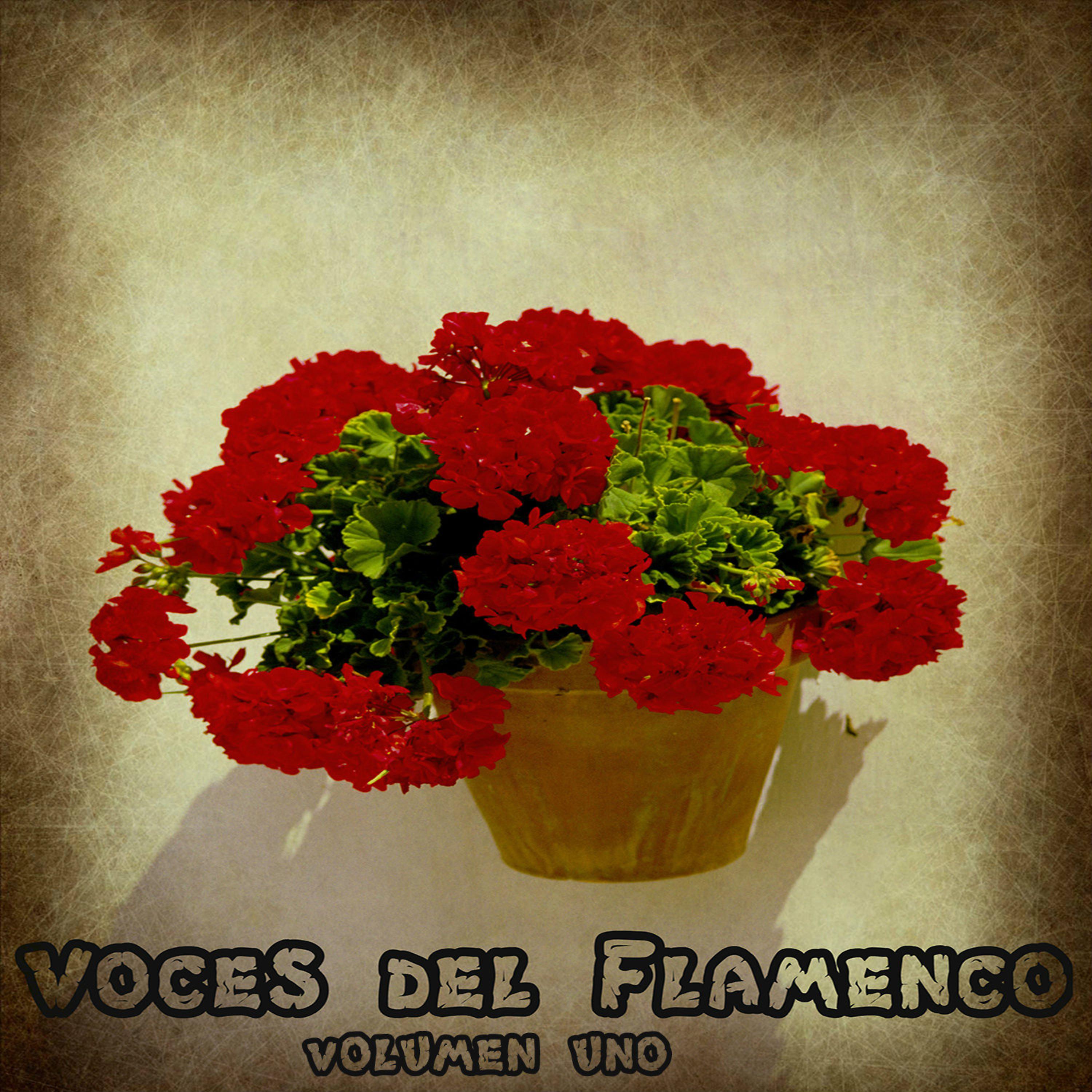 Постер альбома Voces del Flamenco Vol. 1