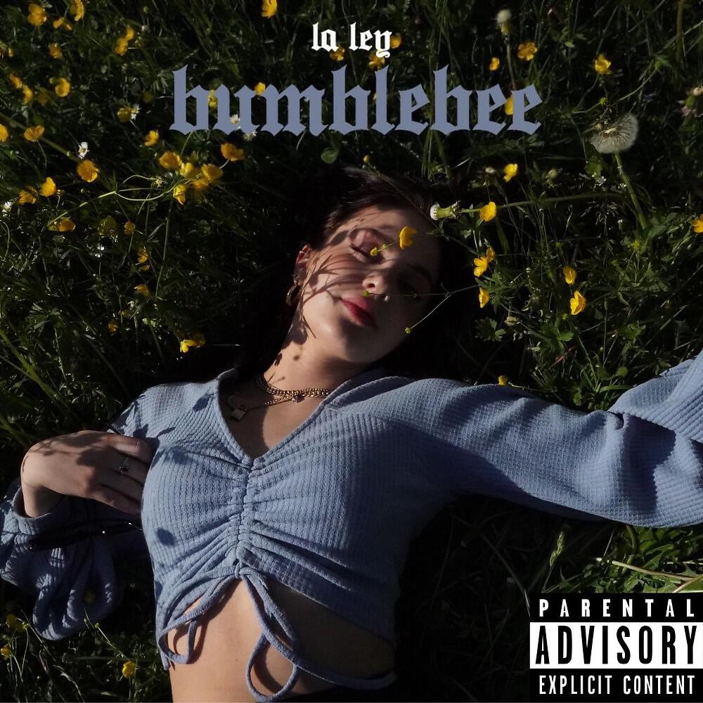 La ley - Bumblebee