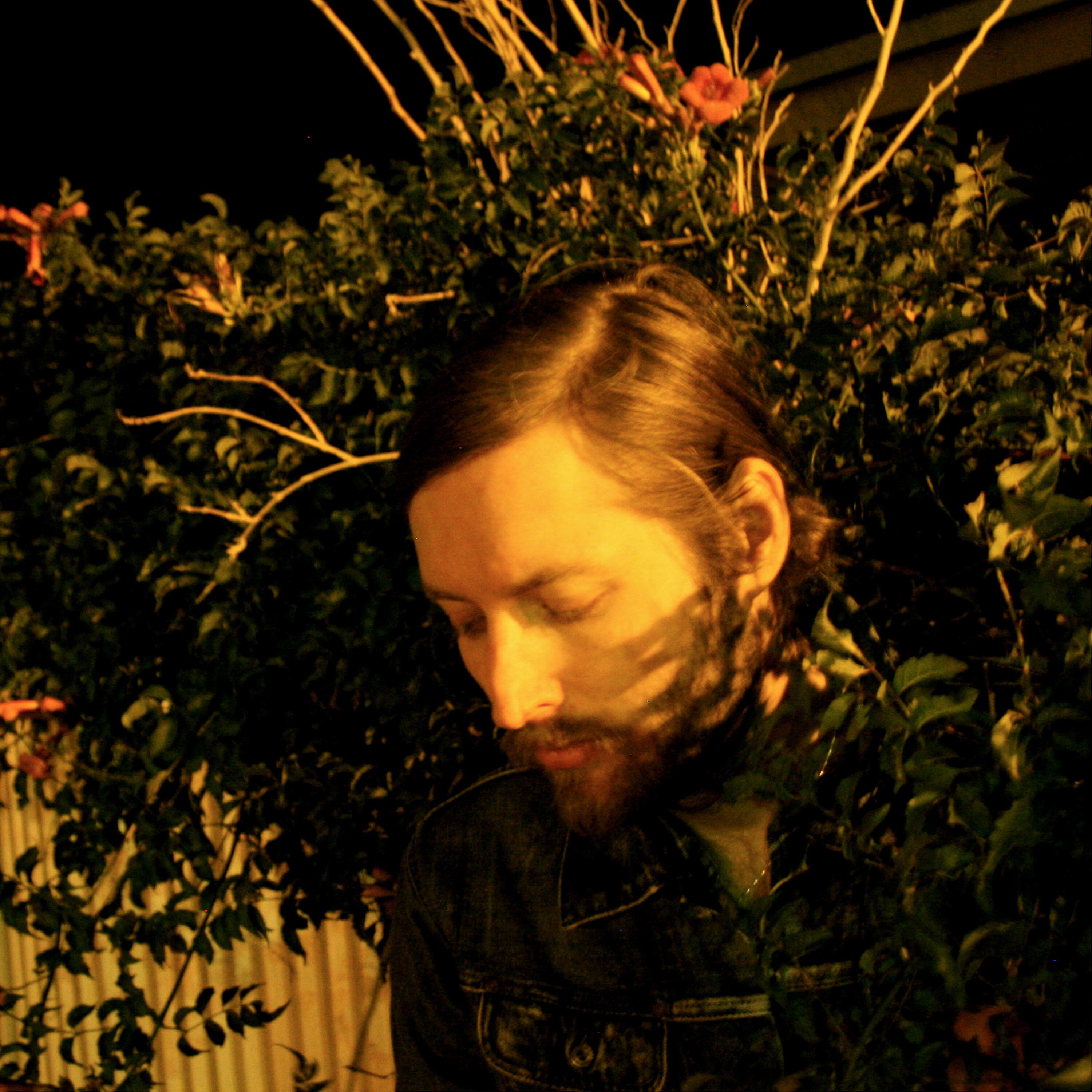 Mark Stoermer - Amber Bough