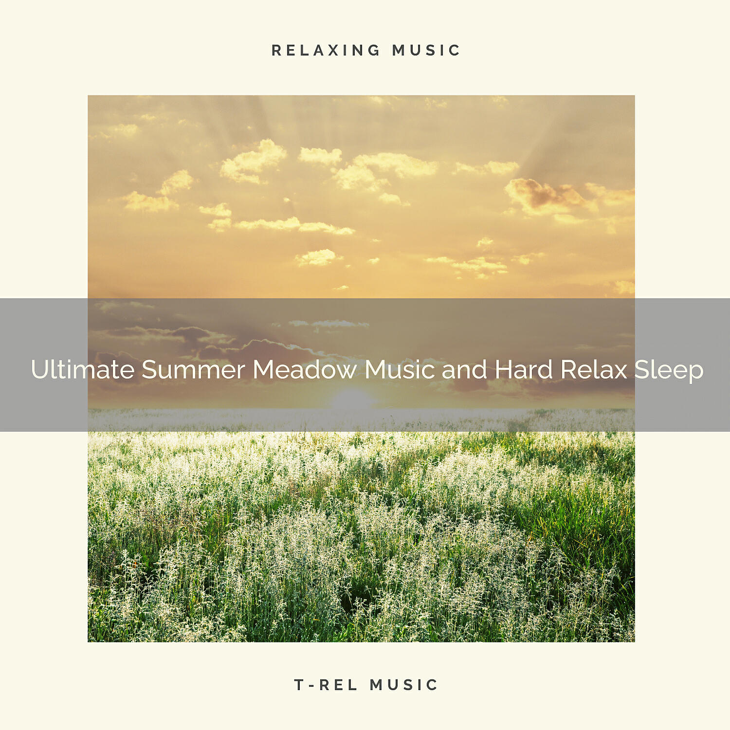 Night Sounds - Exotic Summer Meadow Noise and Sleep