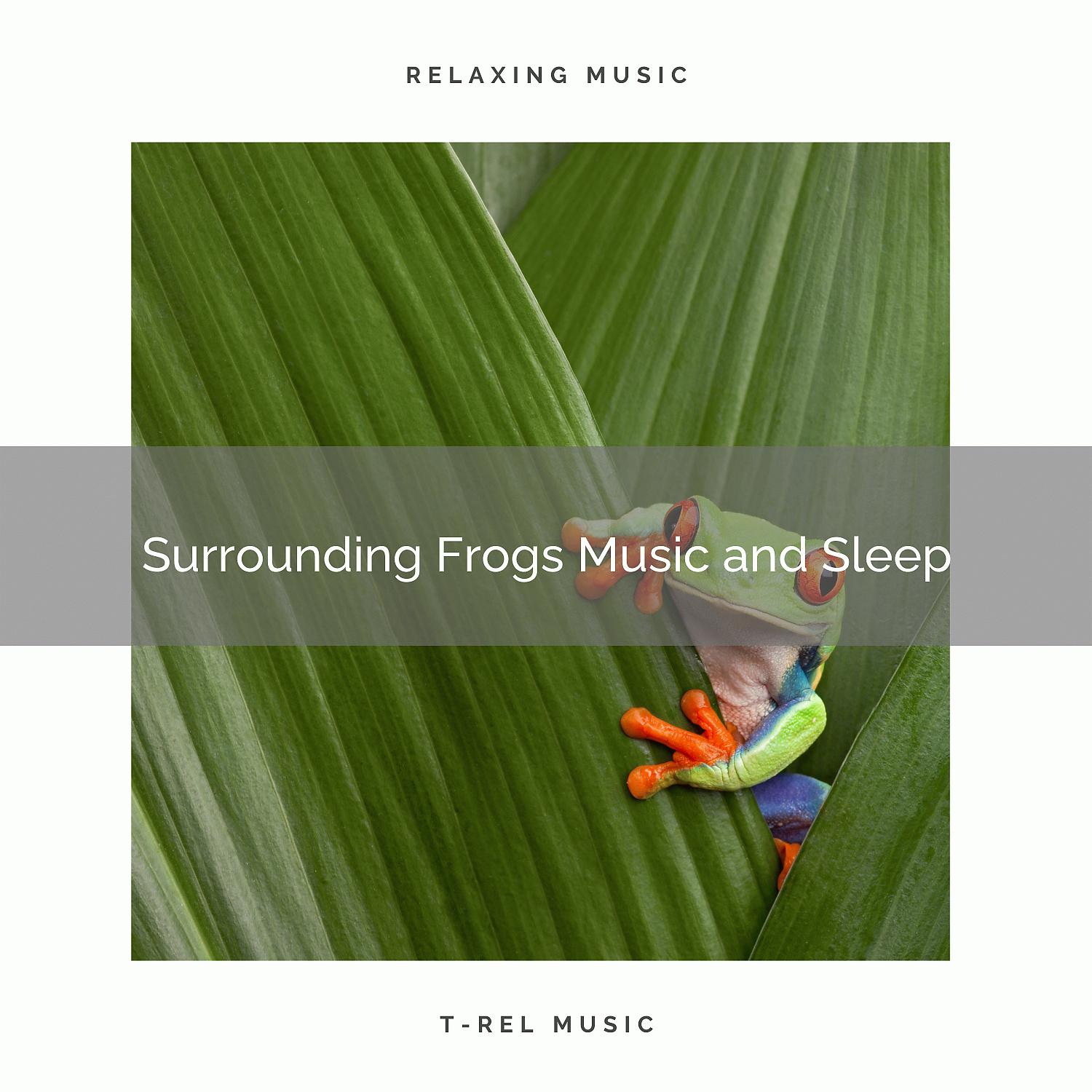 Постер альбома 2020 Best: Surrounding Frogs Music and Sleep