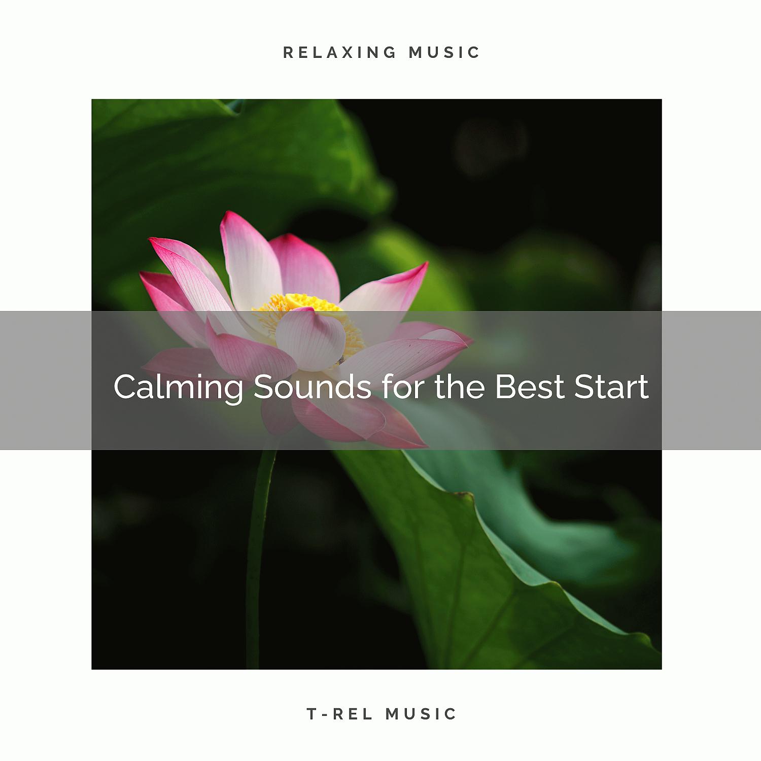 Постер альбома 2020 Best: Calming Sounds for the Best Start