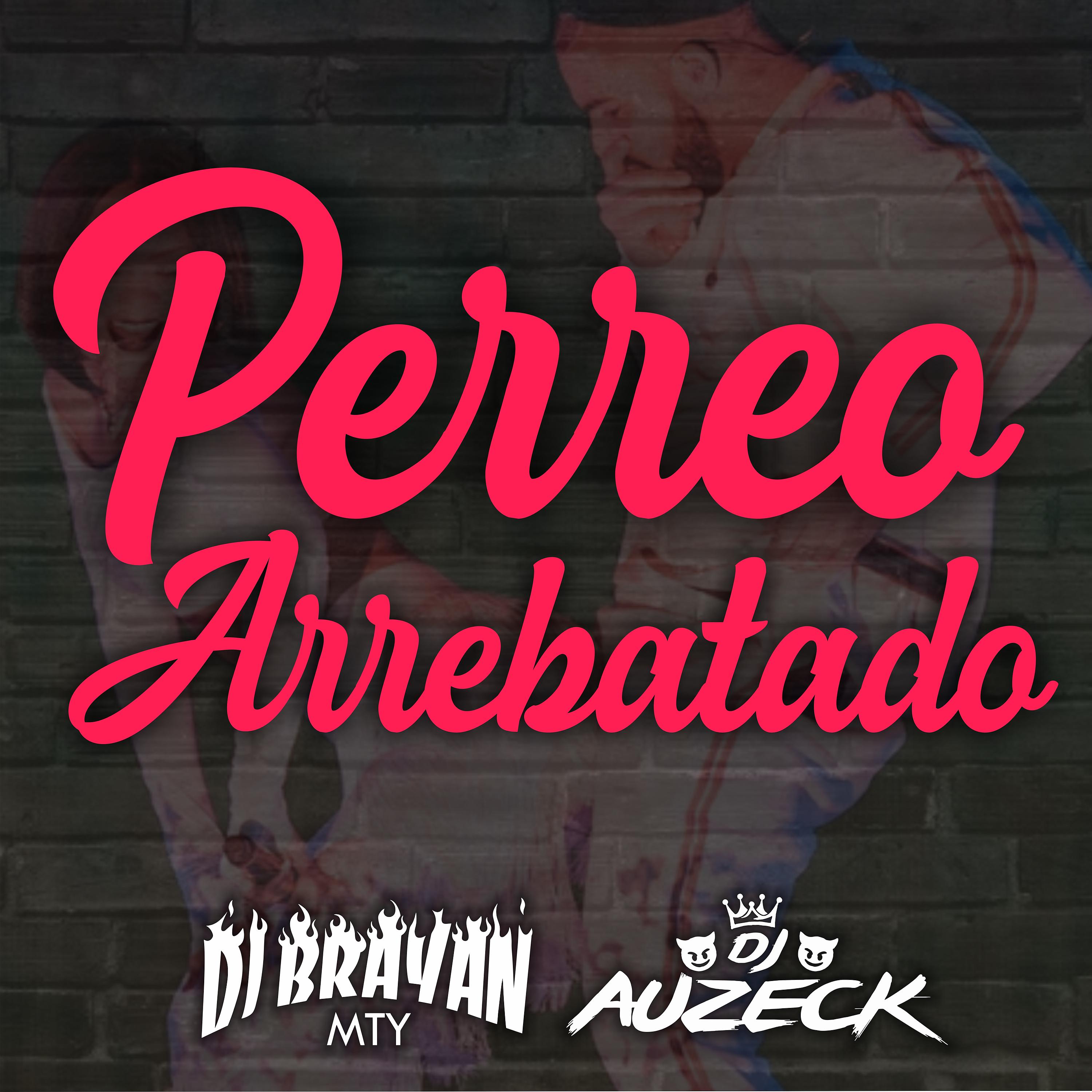 Постер альбома Perreo Arrebatado