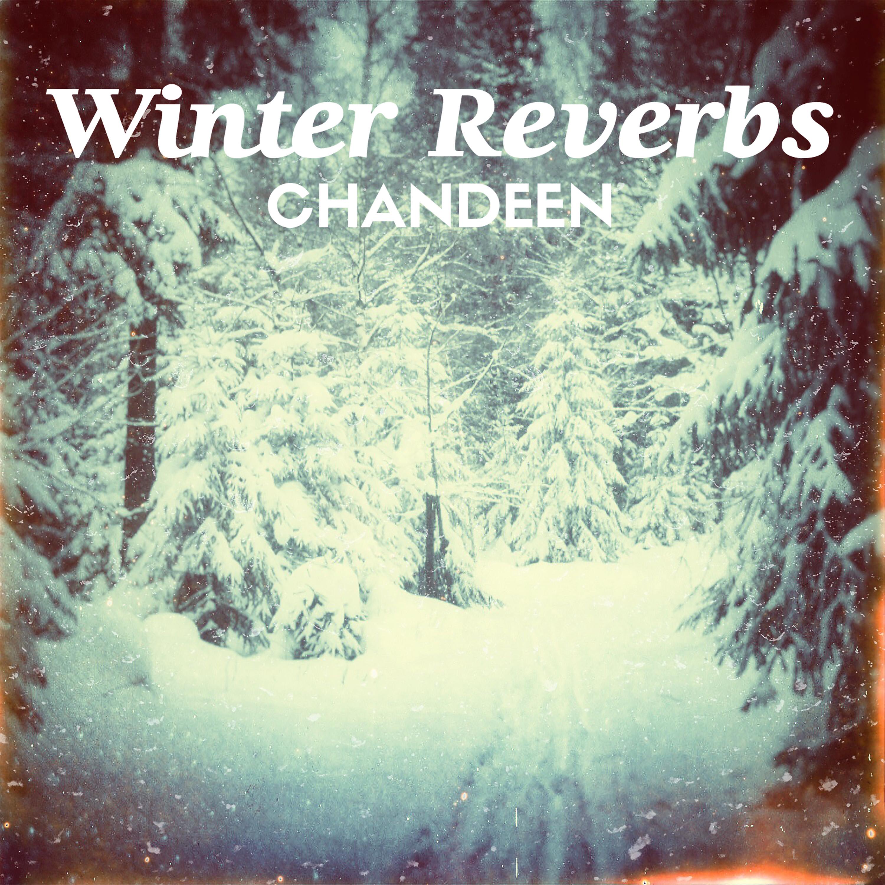 Постер альбома Winter Reverbs