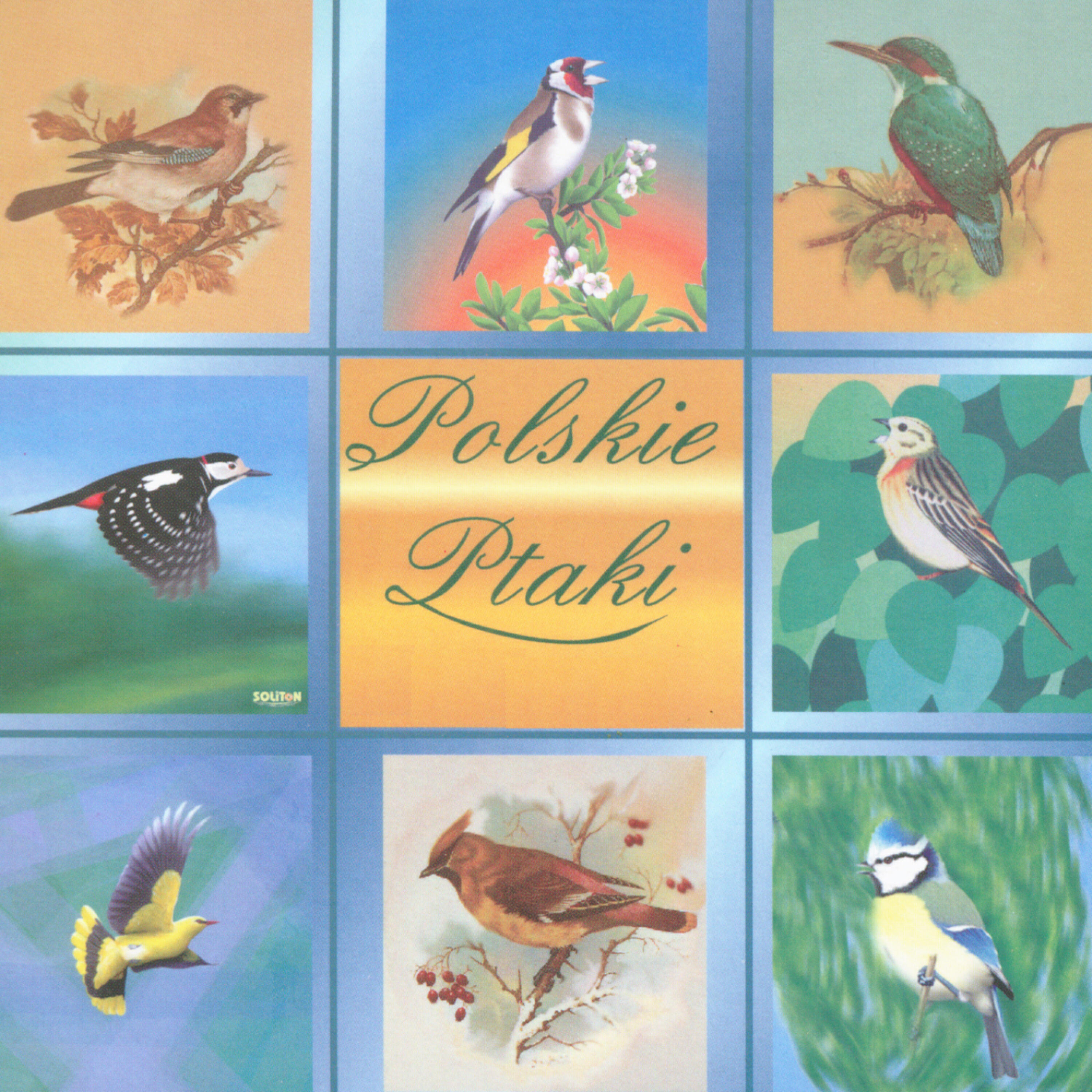 Polskie Ptaki - Nature sounds - Titmouse, cow, cock