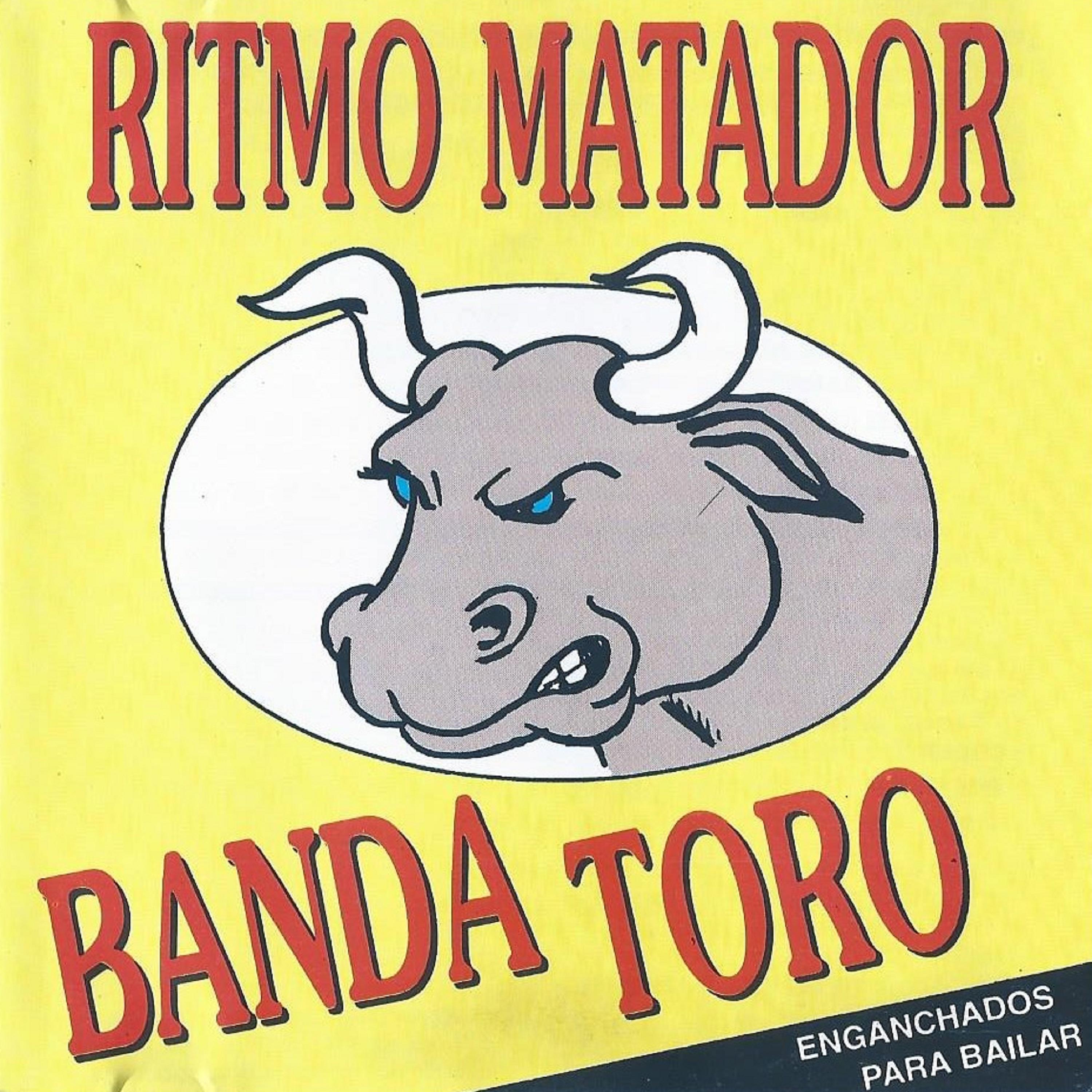 Постер альбома Ritmo Matador