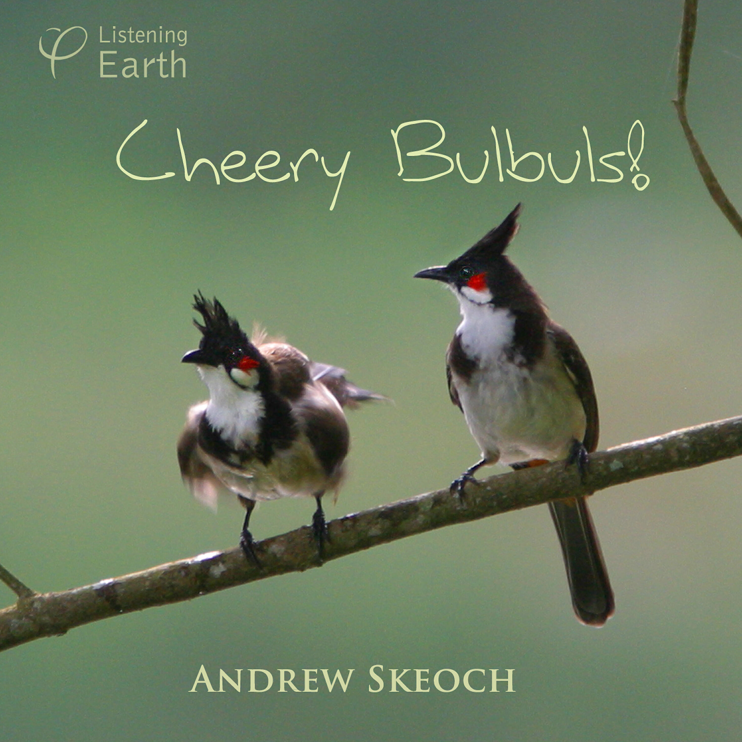 Andrew Skeoch - Bulbul Chorus with Distant Brown-headed Barbets and Grey Jungle Fowl