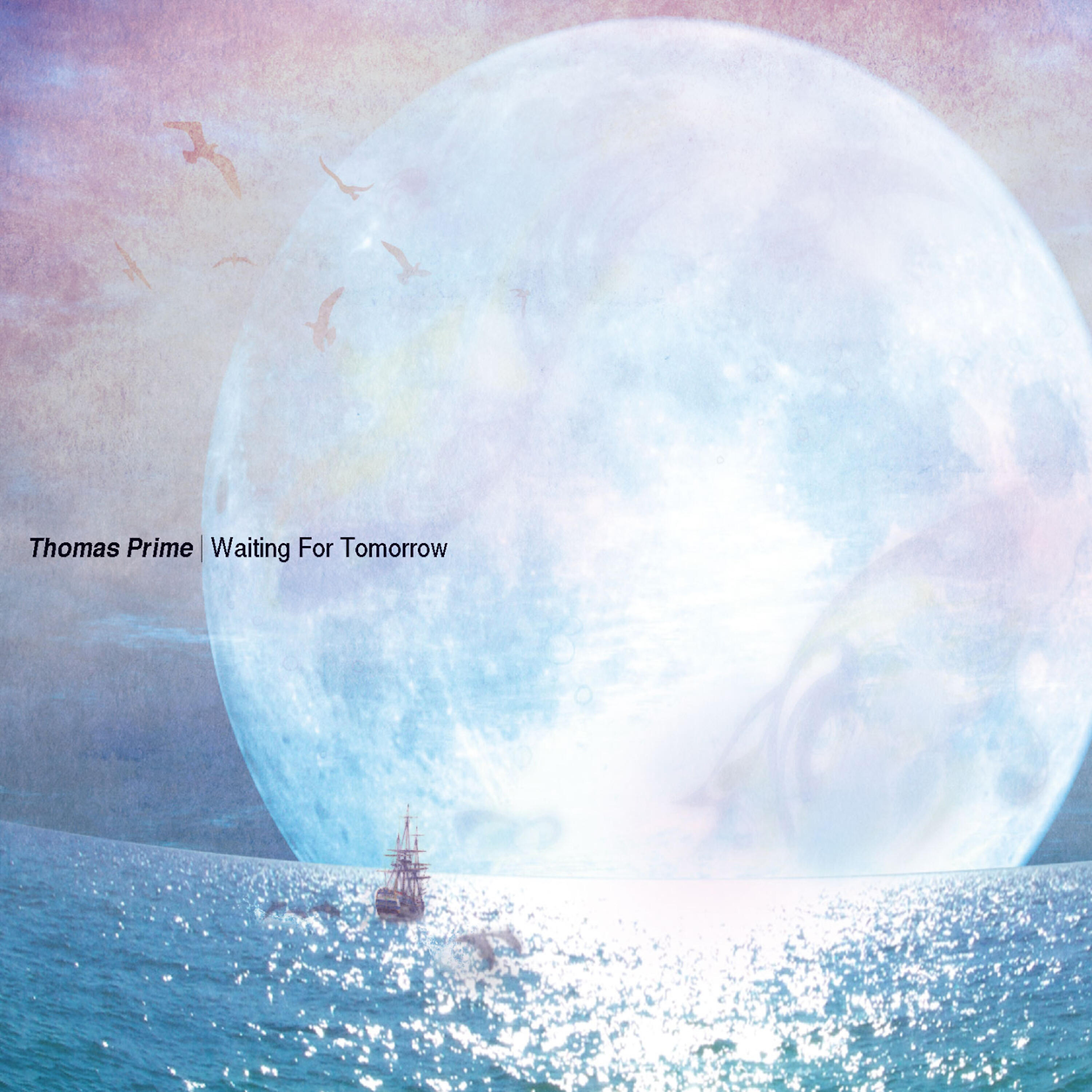 Thomas Prime - Music Plays On feat The 49ers &Thurro