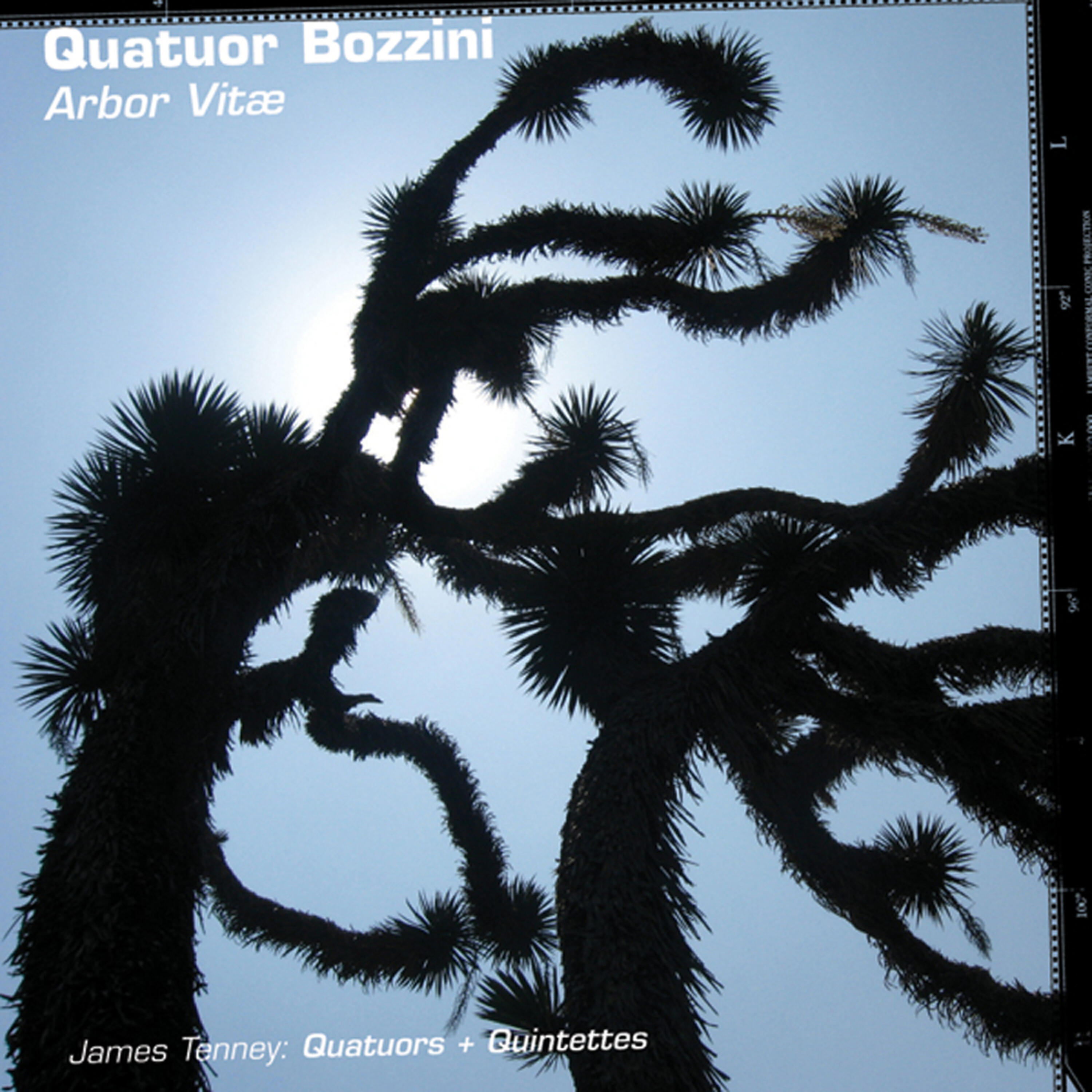 Quatuor Bozzini - Koan for String Quartet