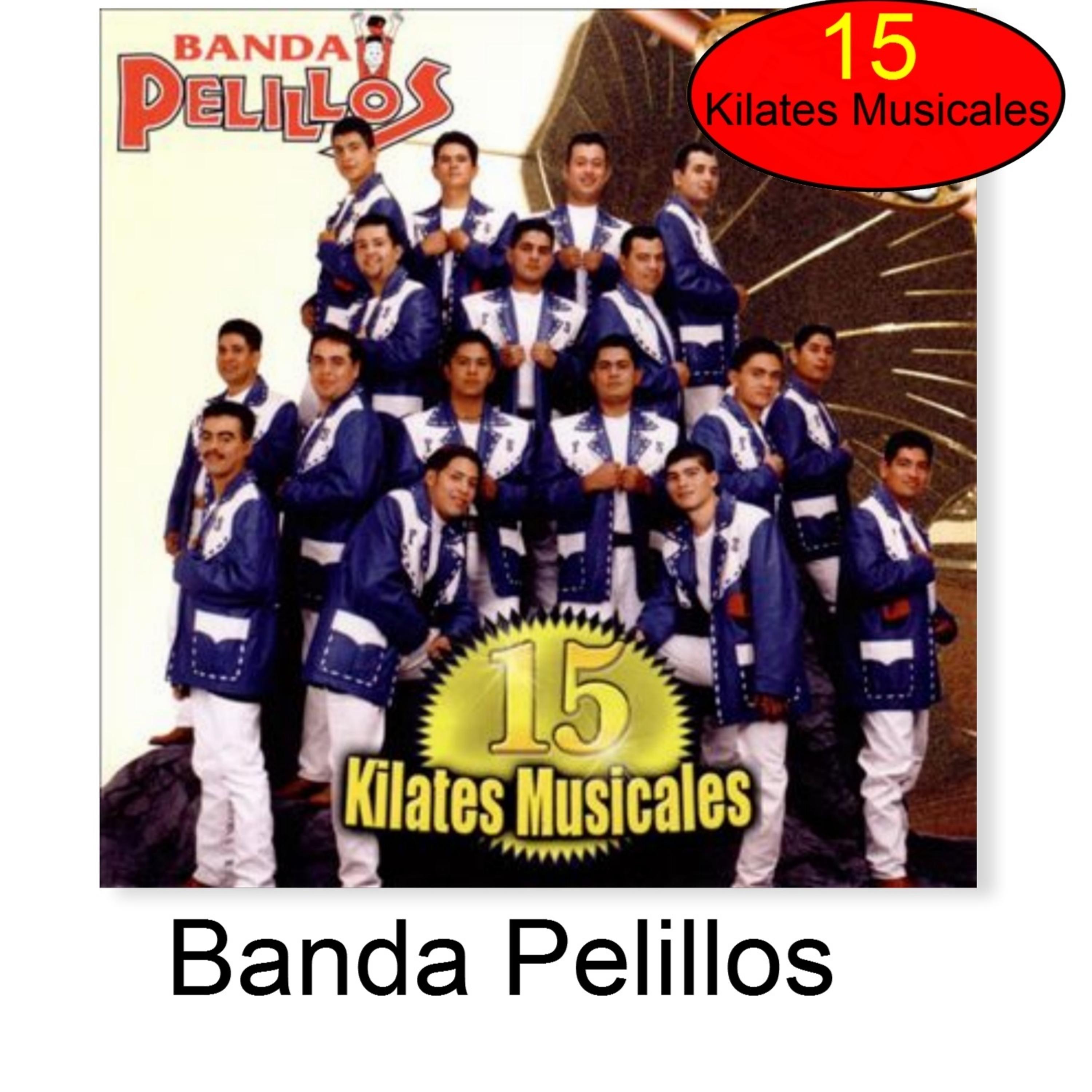 BANDA PELILLOS - Carta Abierta