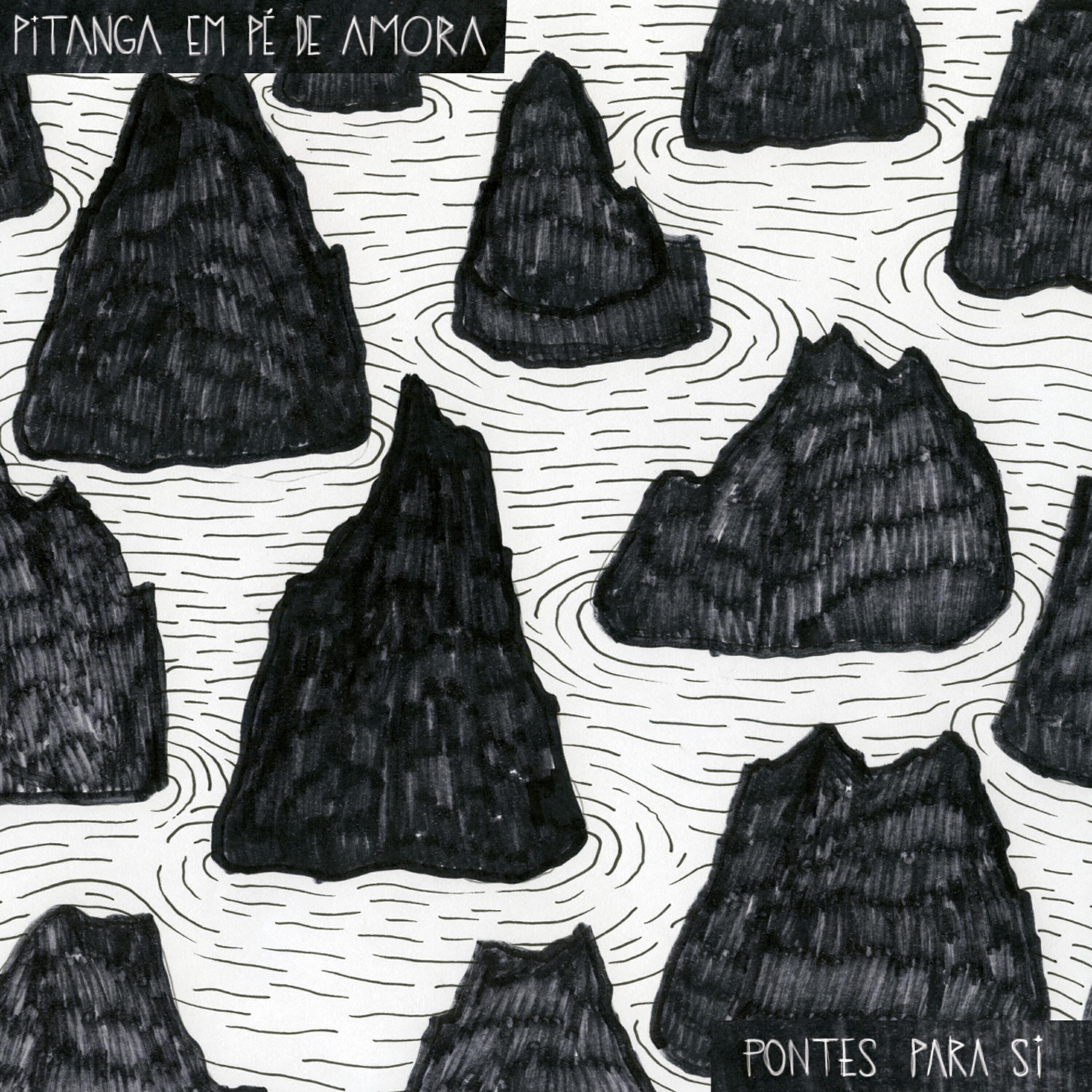 Pitanga em Pé de Amora - Baião do Fela
