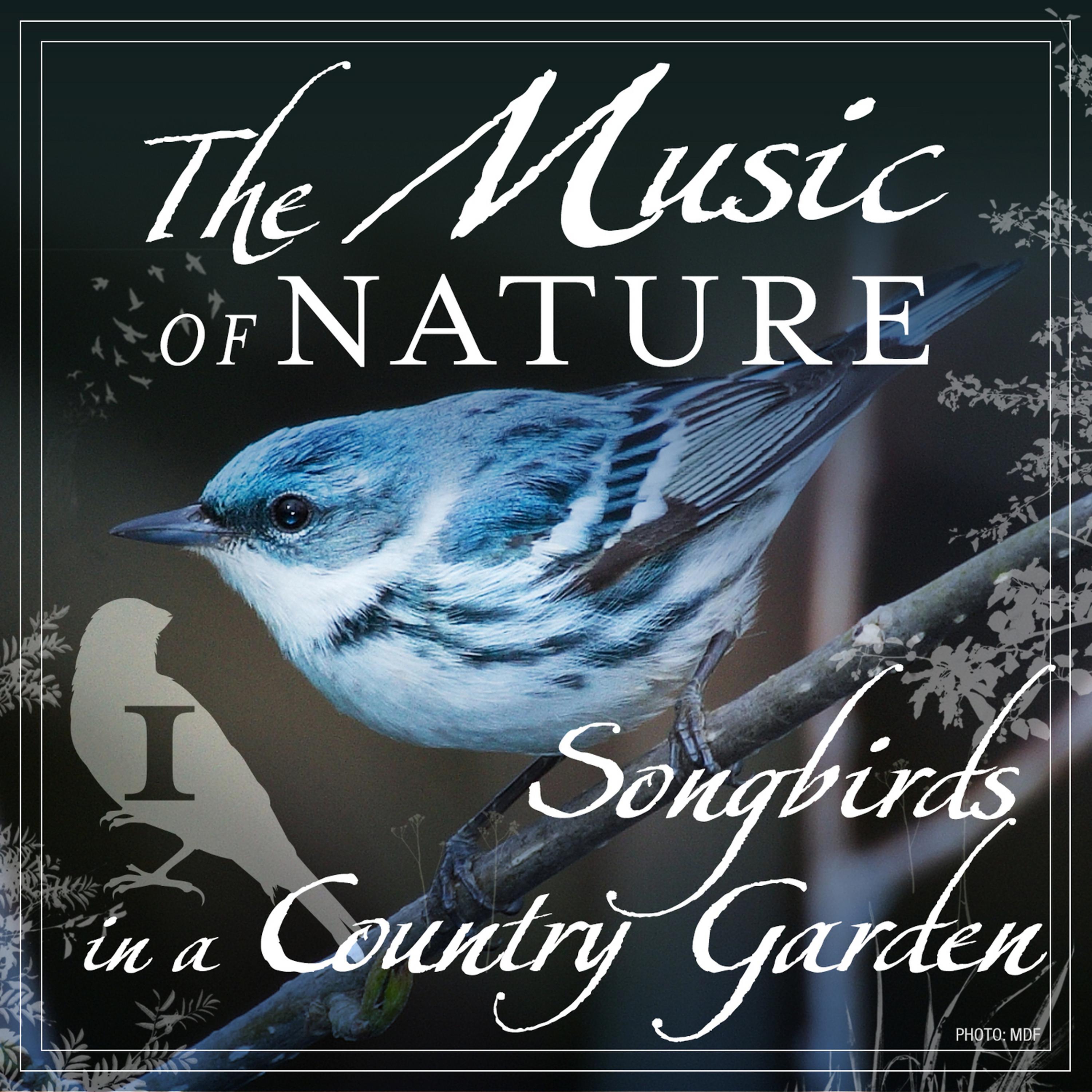 Постер альбома The Music of Nature - Songbirds in a Country Garden, Vol. 1