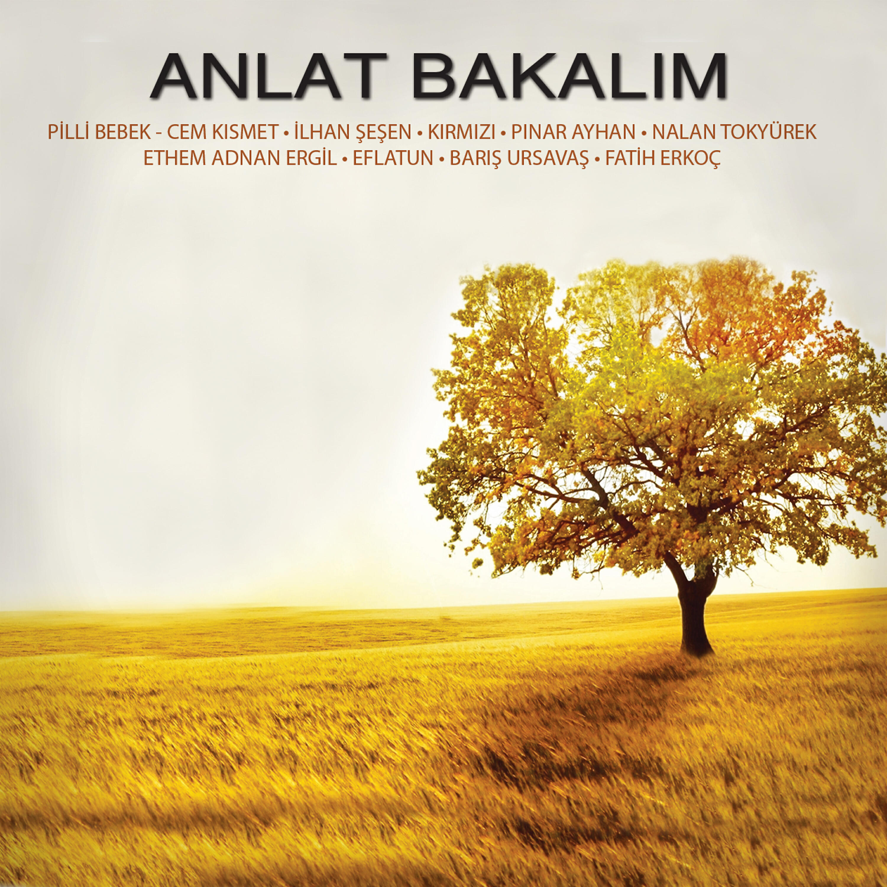 İlhan Şeşen - Nazım Hikmet Memleket