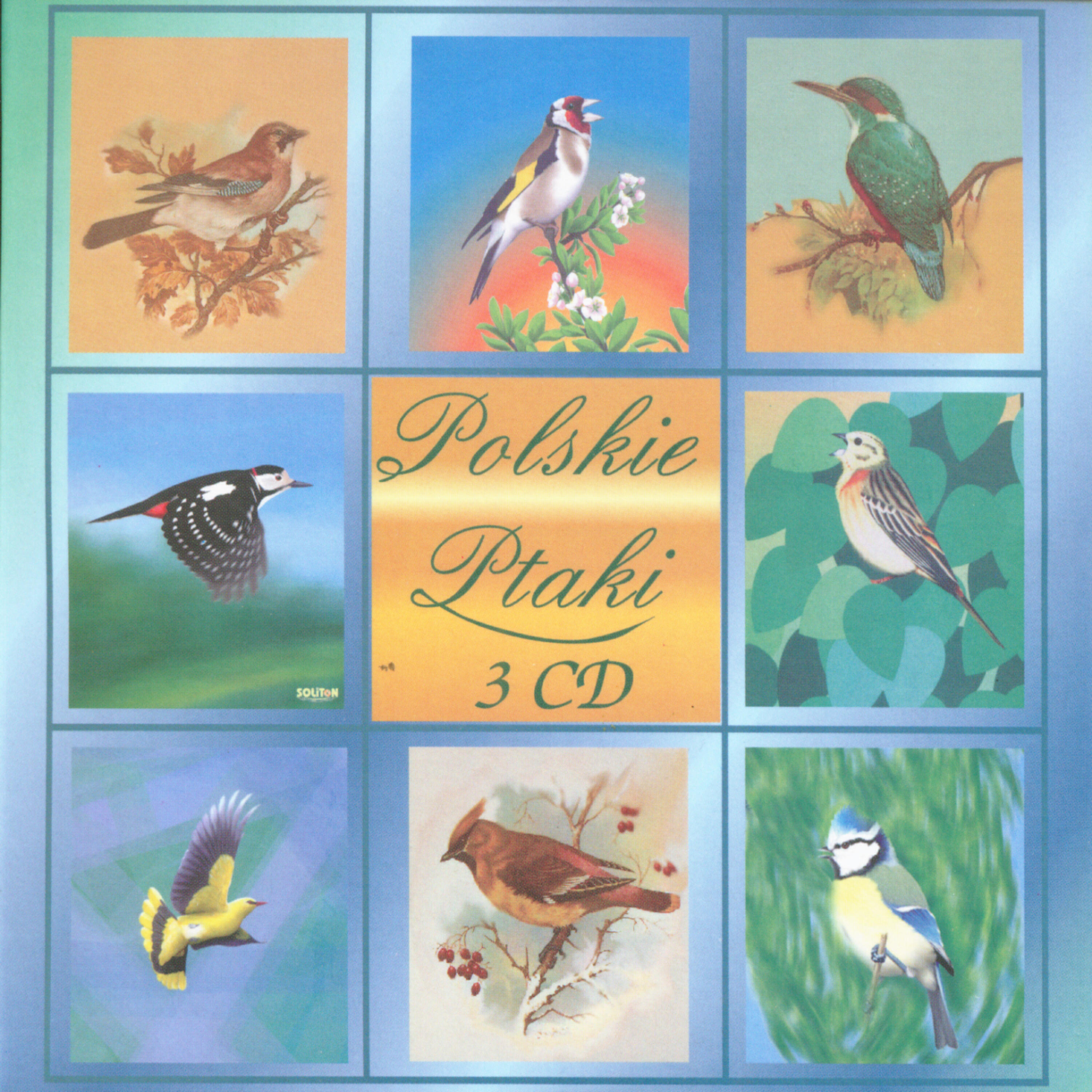Polskie Ptaki - Flock of swifts
