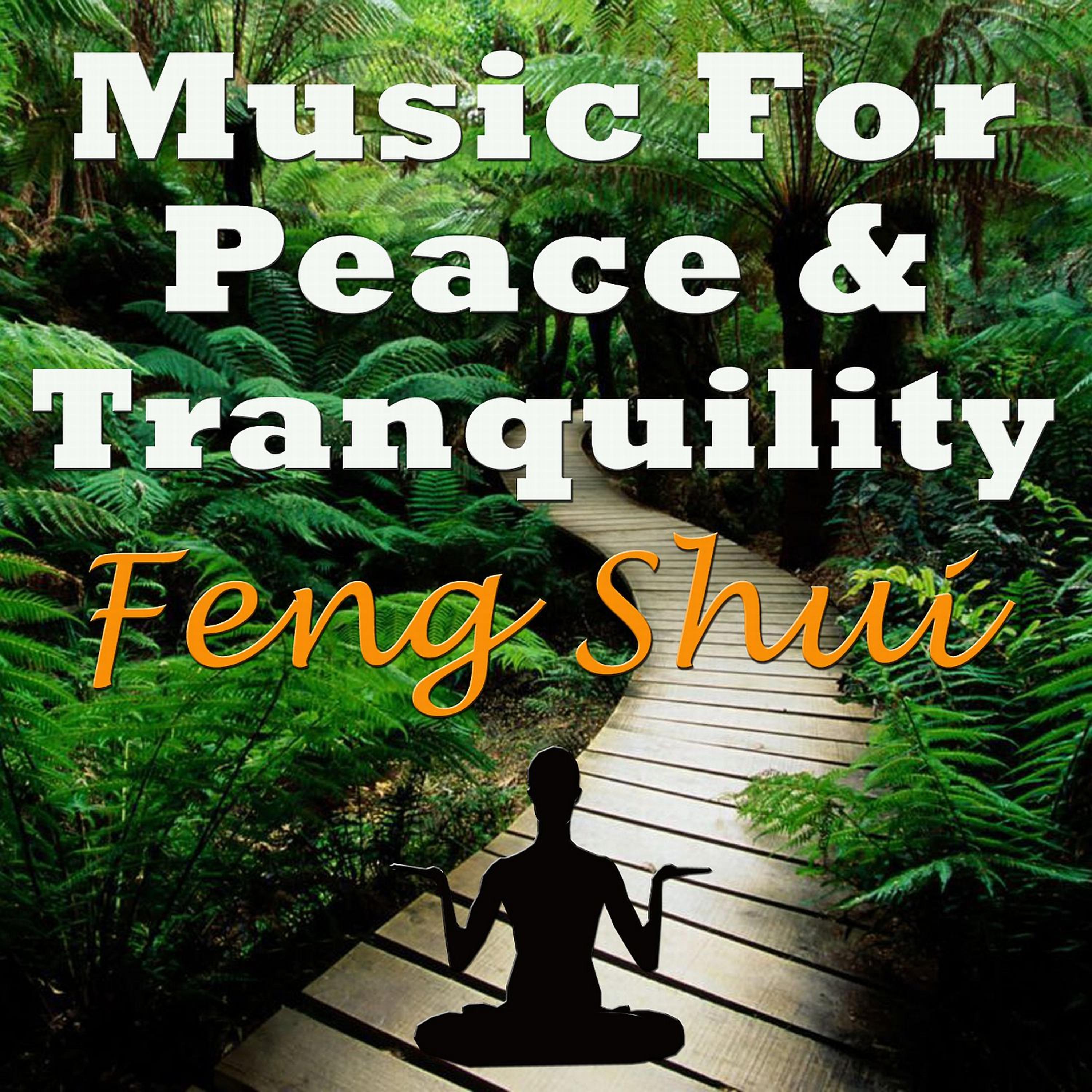Постер альбома Music for Peace & Tranquility - Feng Shui
