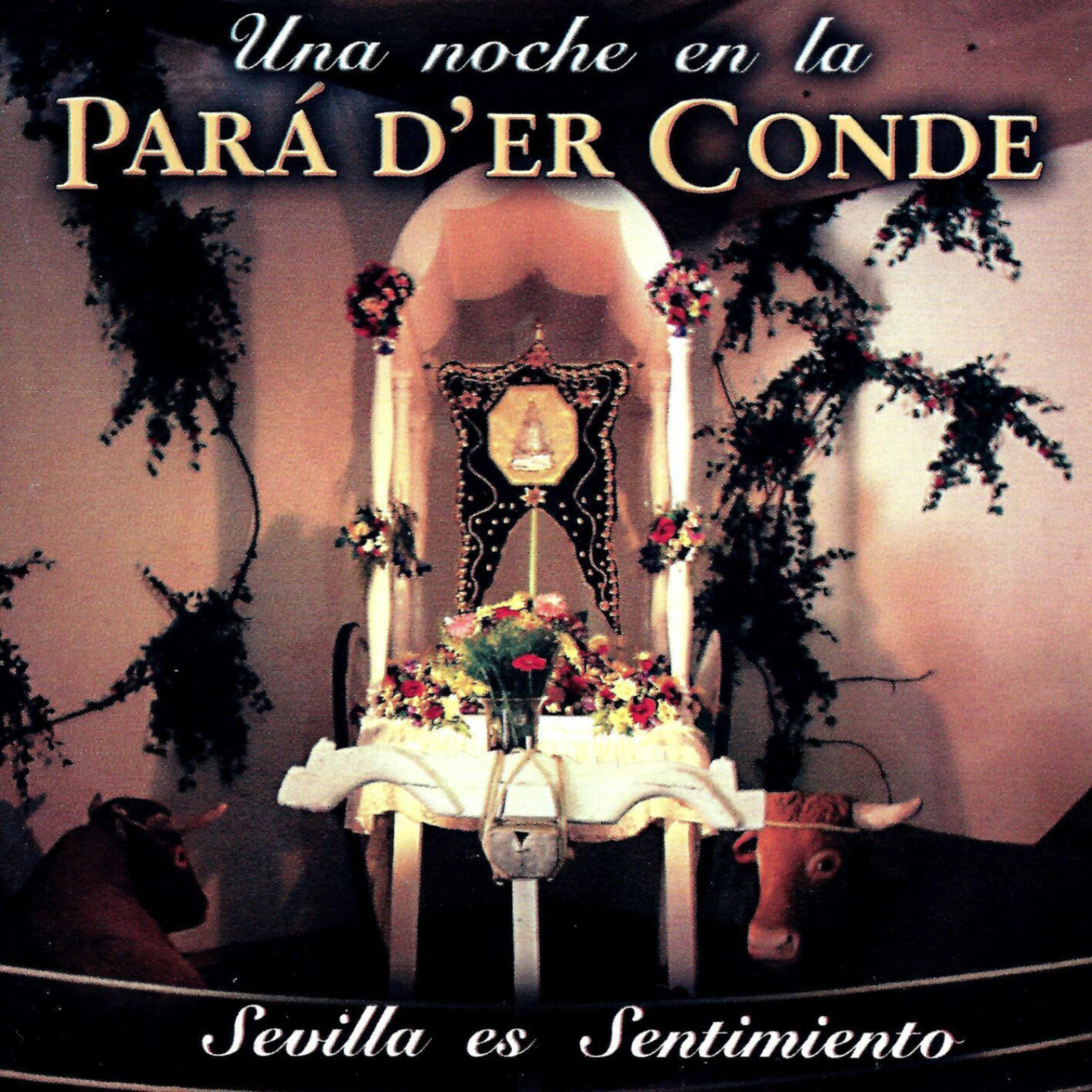 Постер альбома Una Noche en la Pará D´er Conde,Sevilla Es Sentimiento