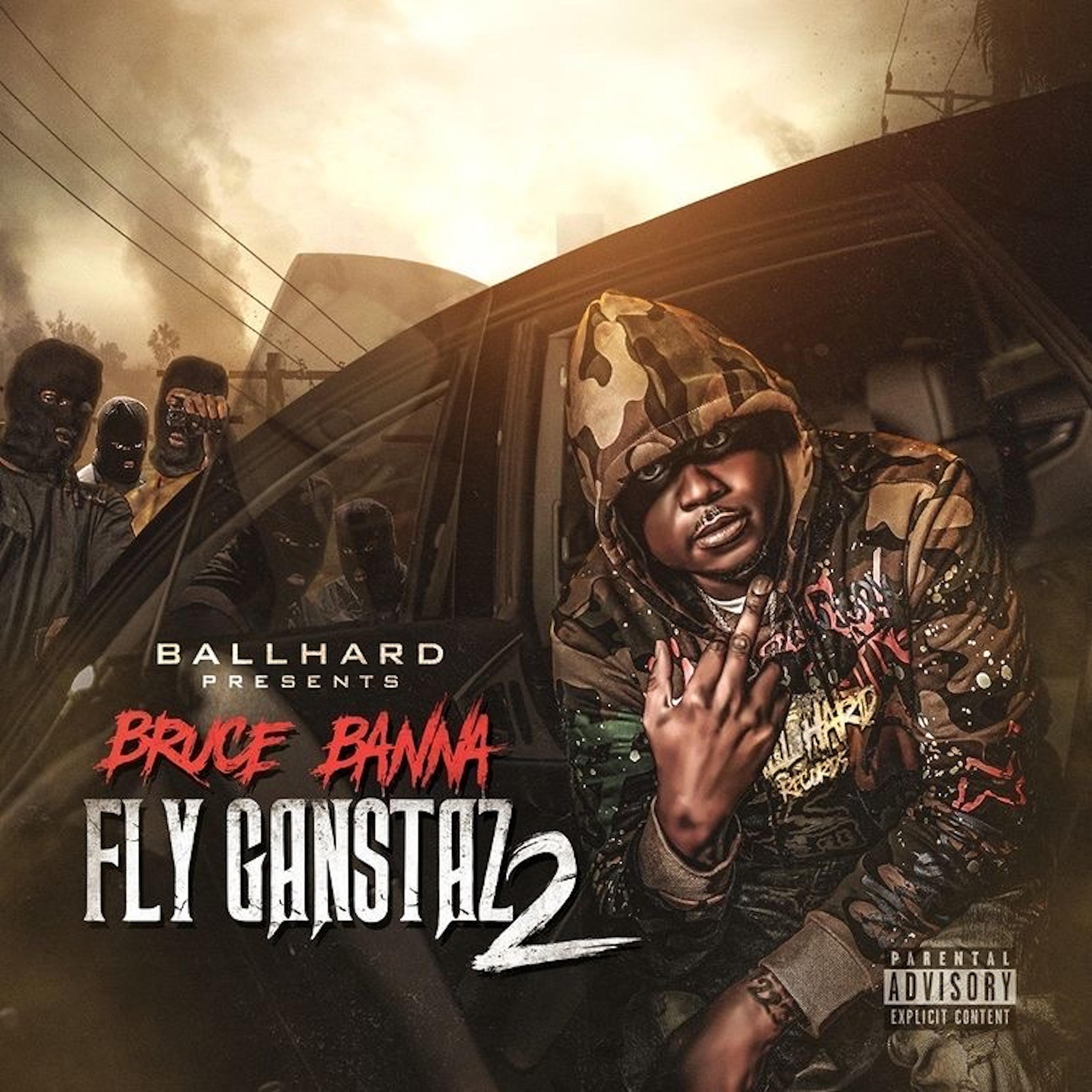 Постер альбома Fly Gangstaz 2