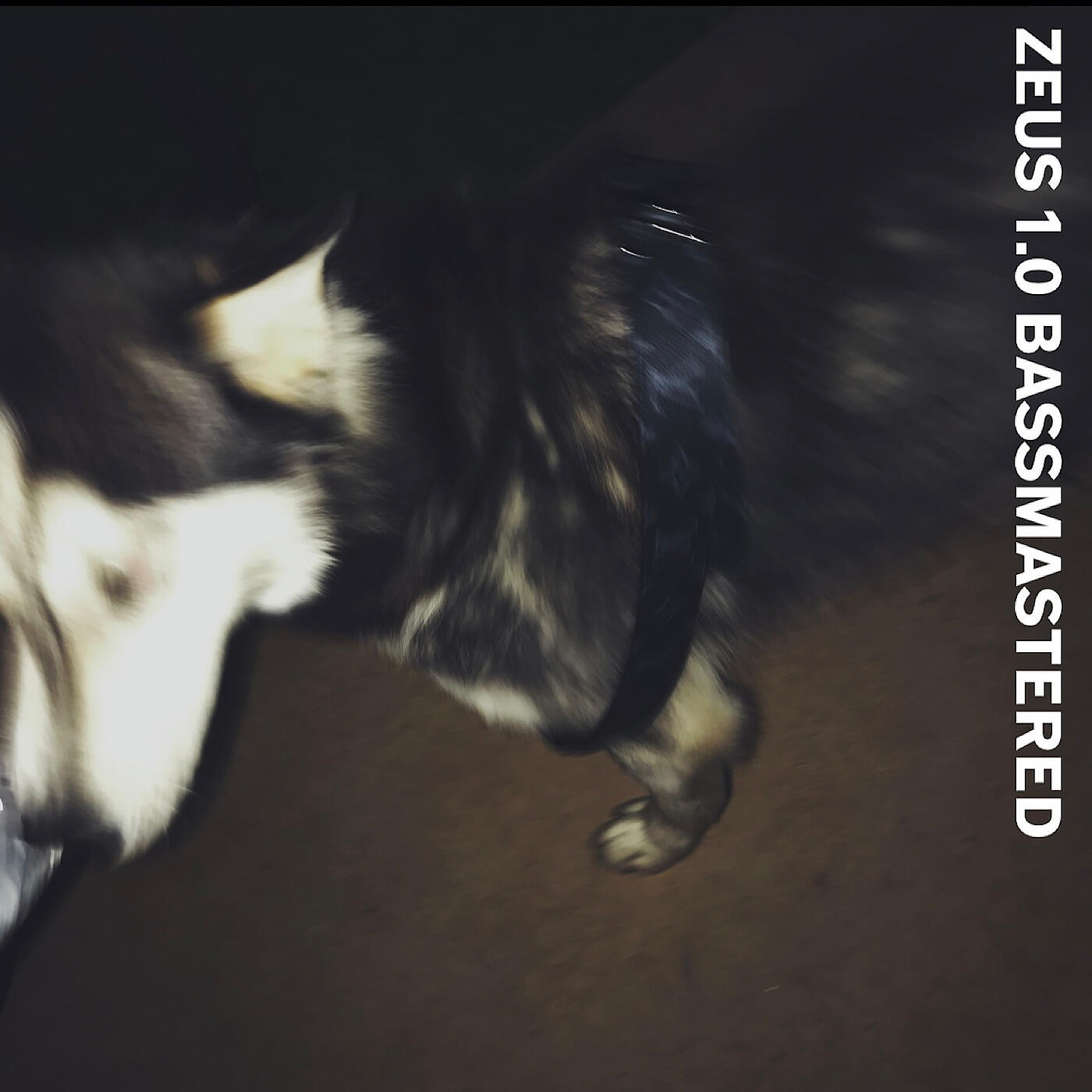 CLUB J - Zeus 1.0 (Bassmastered)