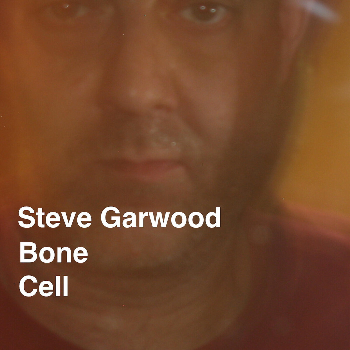 Steve Garwood - A Prince of Thin Kin