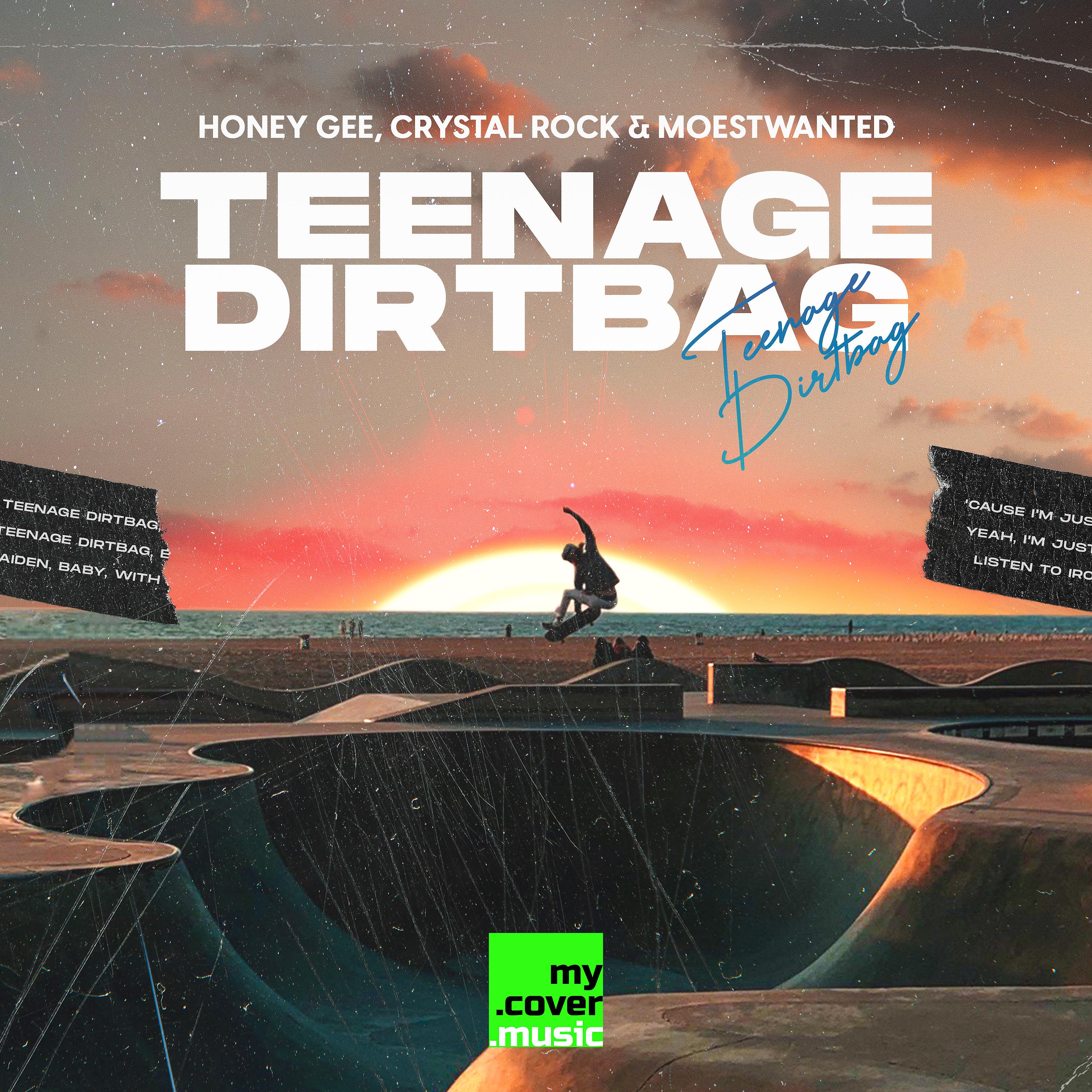 Постер альбома Teenage Dirtbag