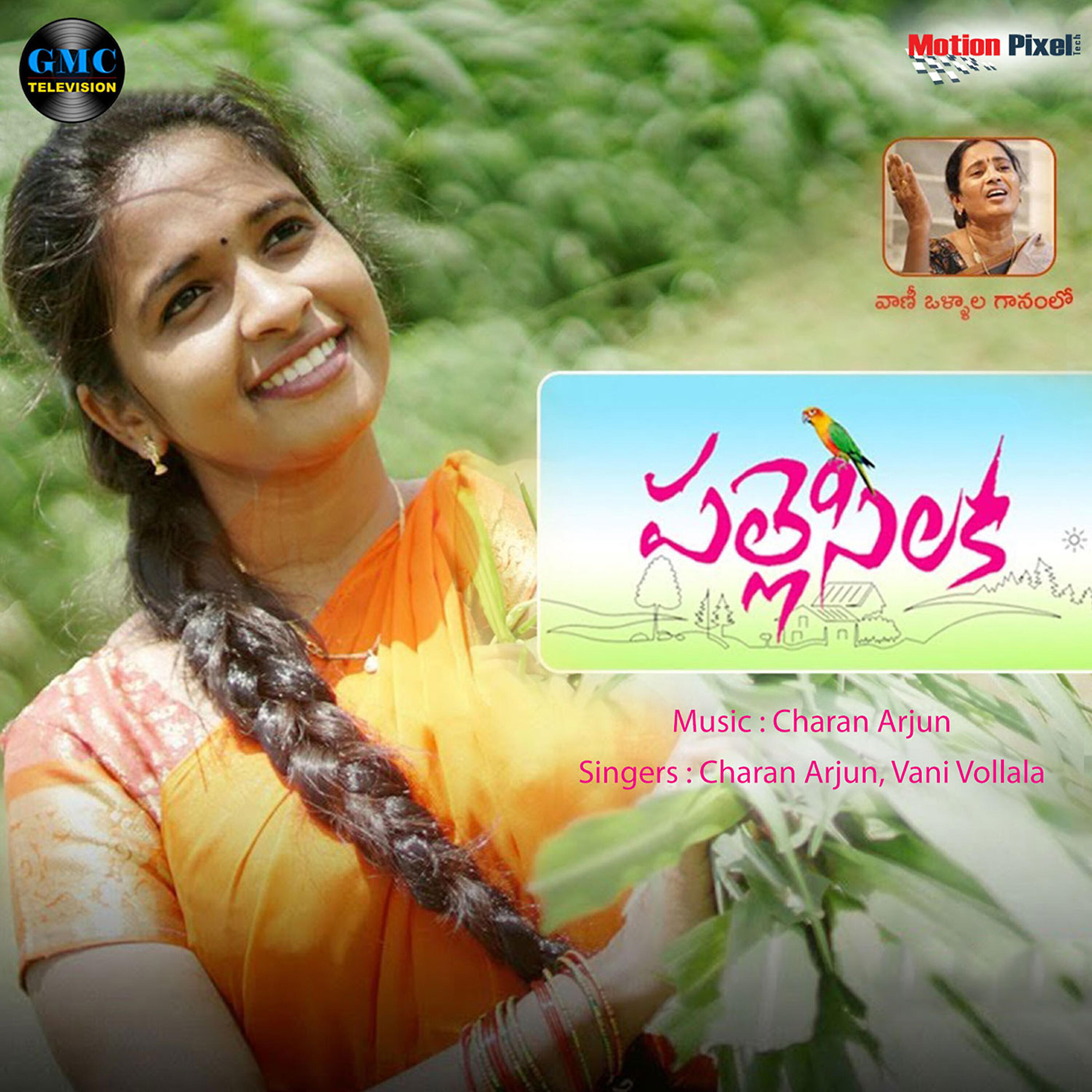 Charan Arjun - Palle Silaka