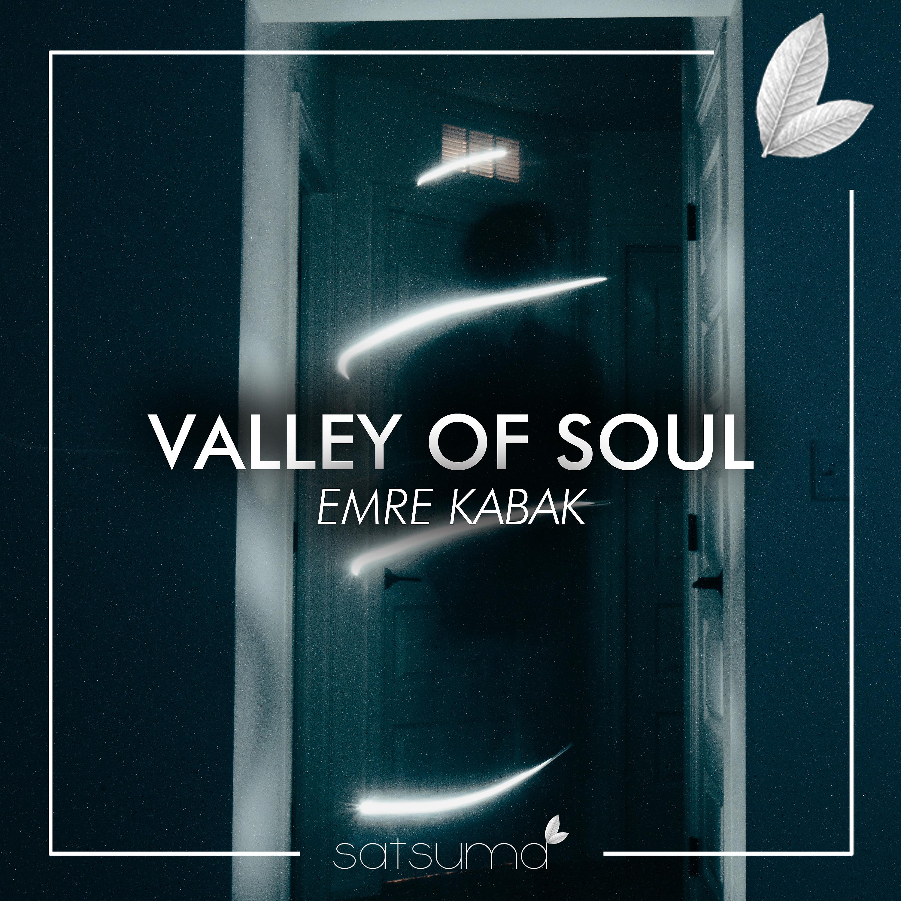 Постер альбома Valley of Soul