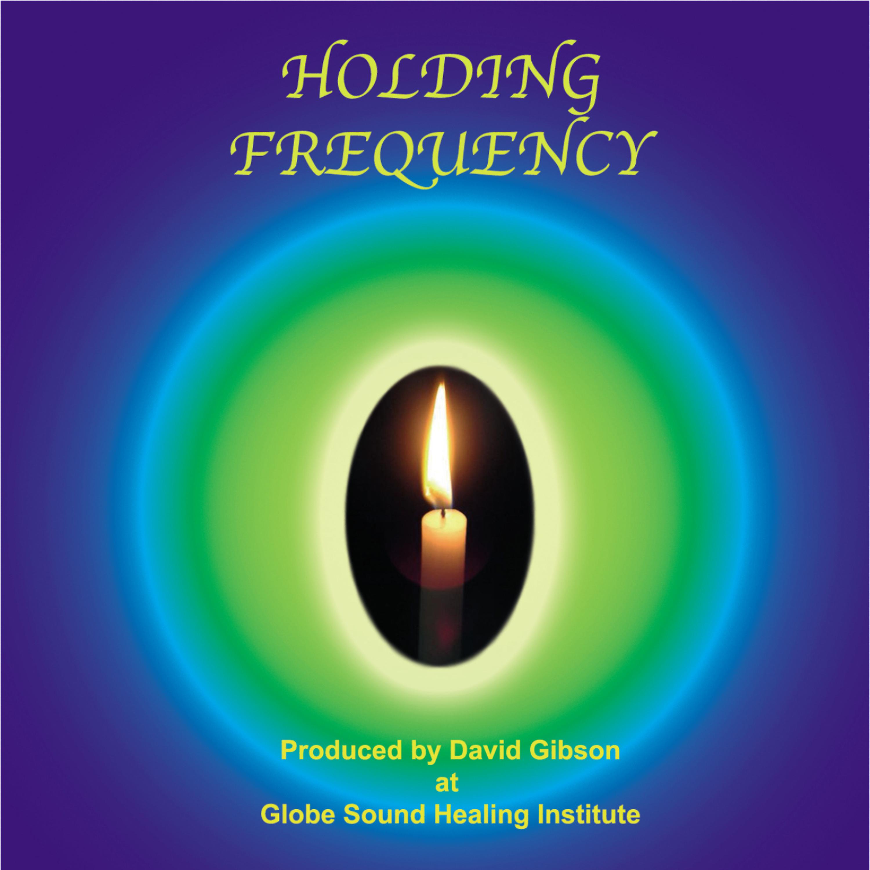 Постер альбома Holding Frequency