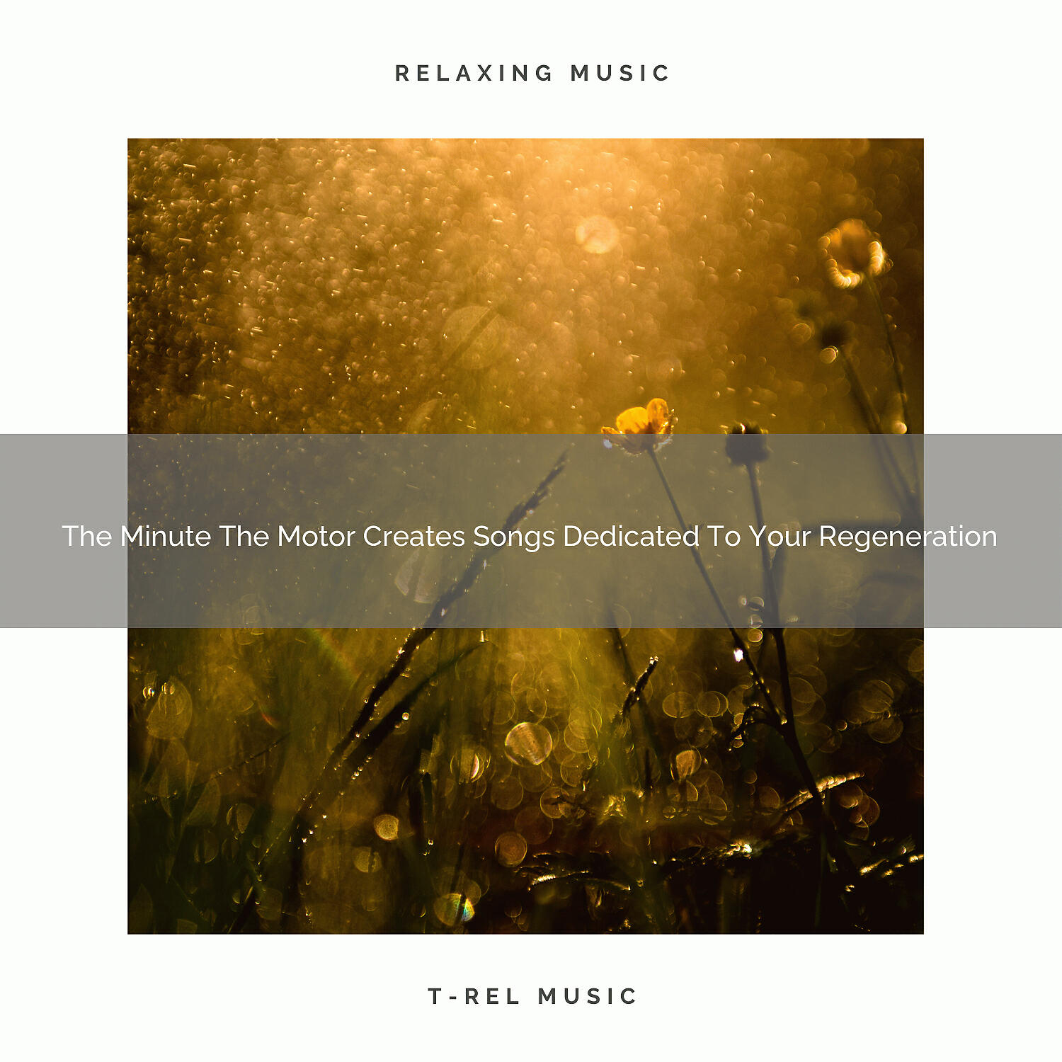 Rain Spa - When The City Creates Tunes Devoted To Your Recharging Nap And Relax