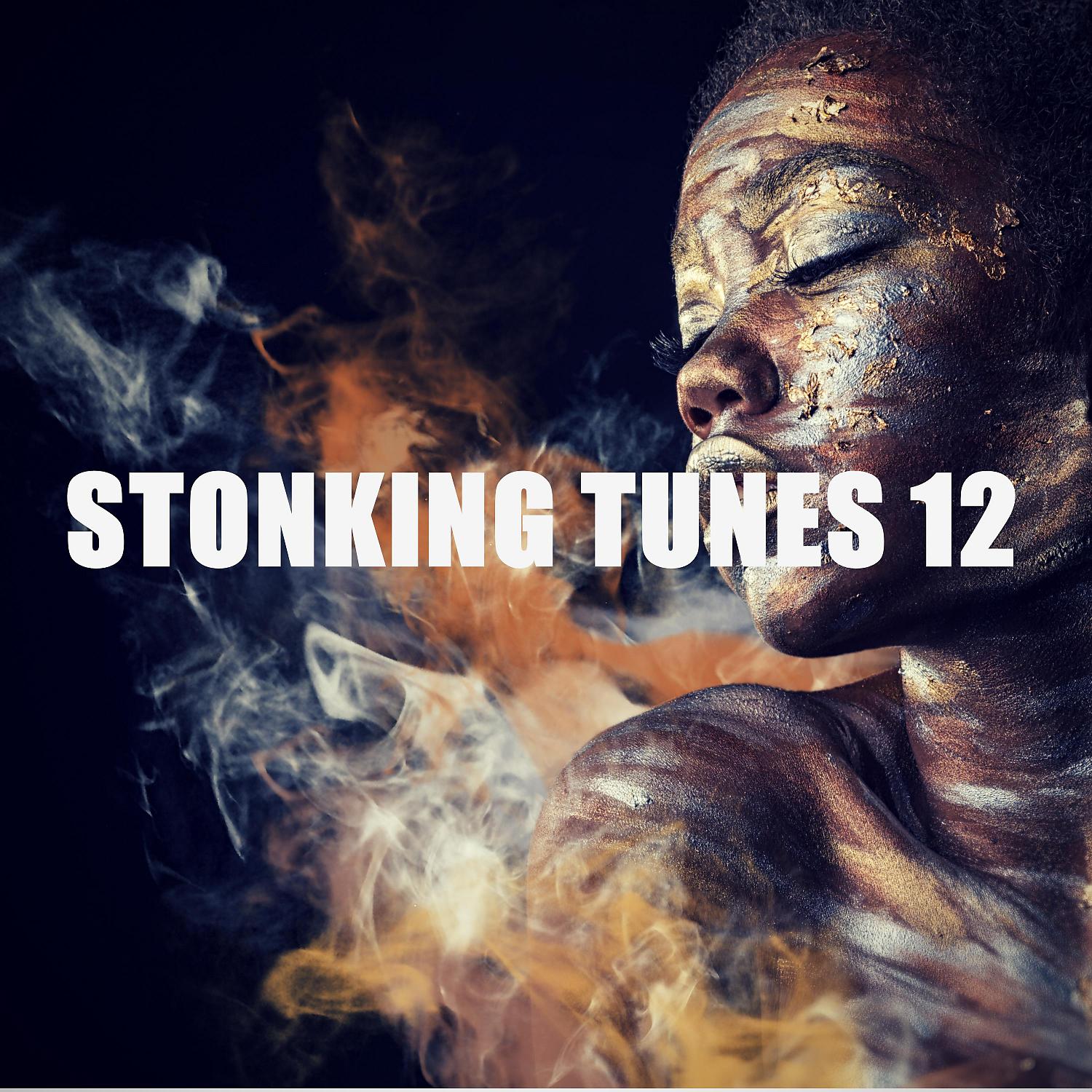 Постер альбома STONKING TUNES 12
